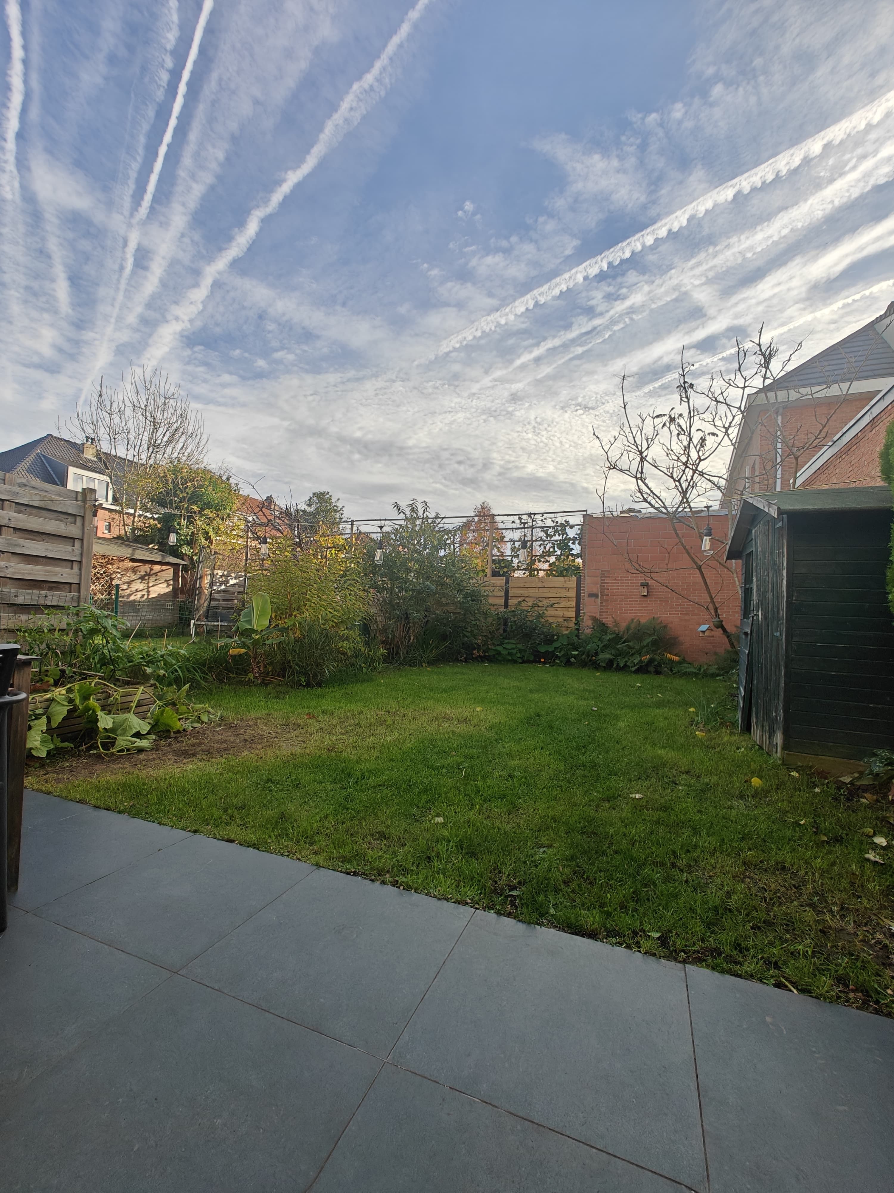 image-14