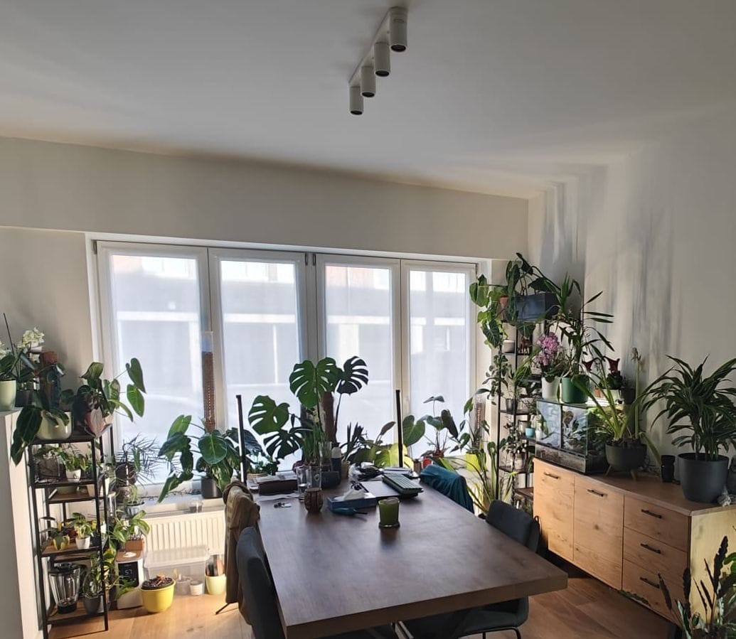 image-31