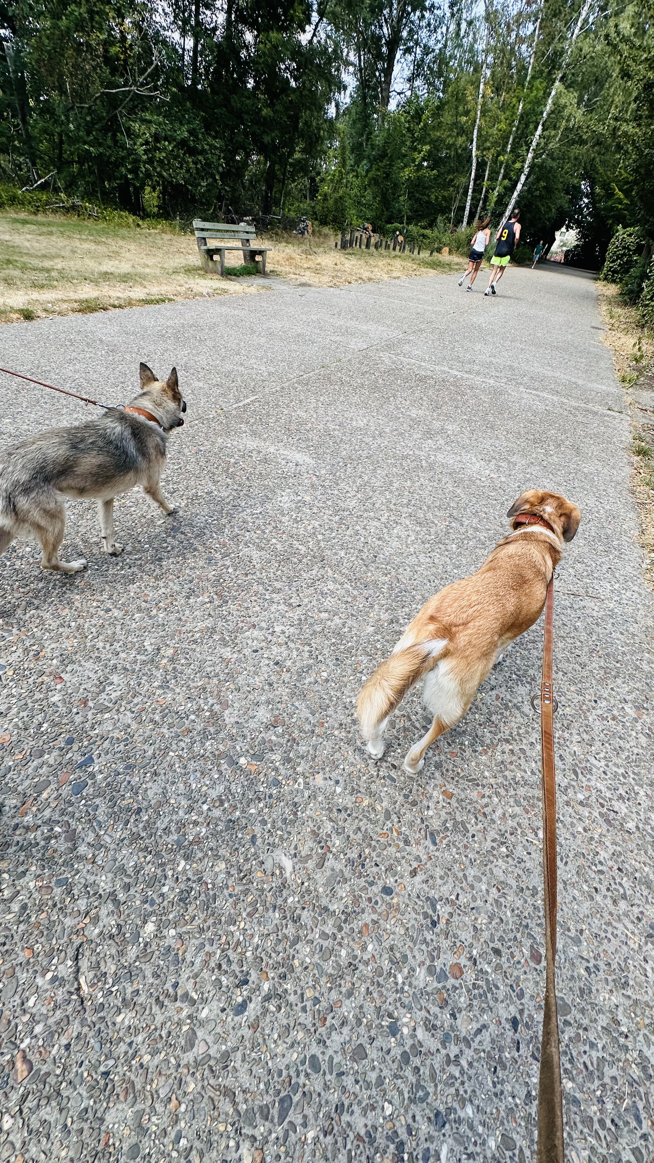 image-16
