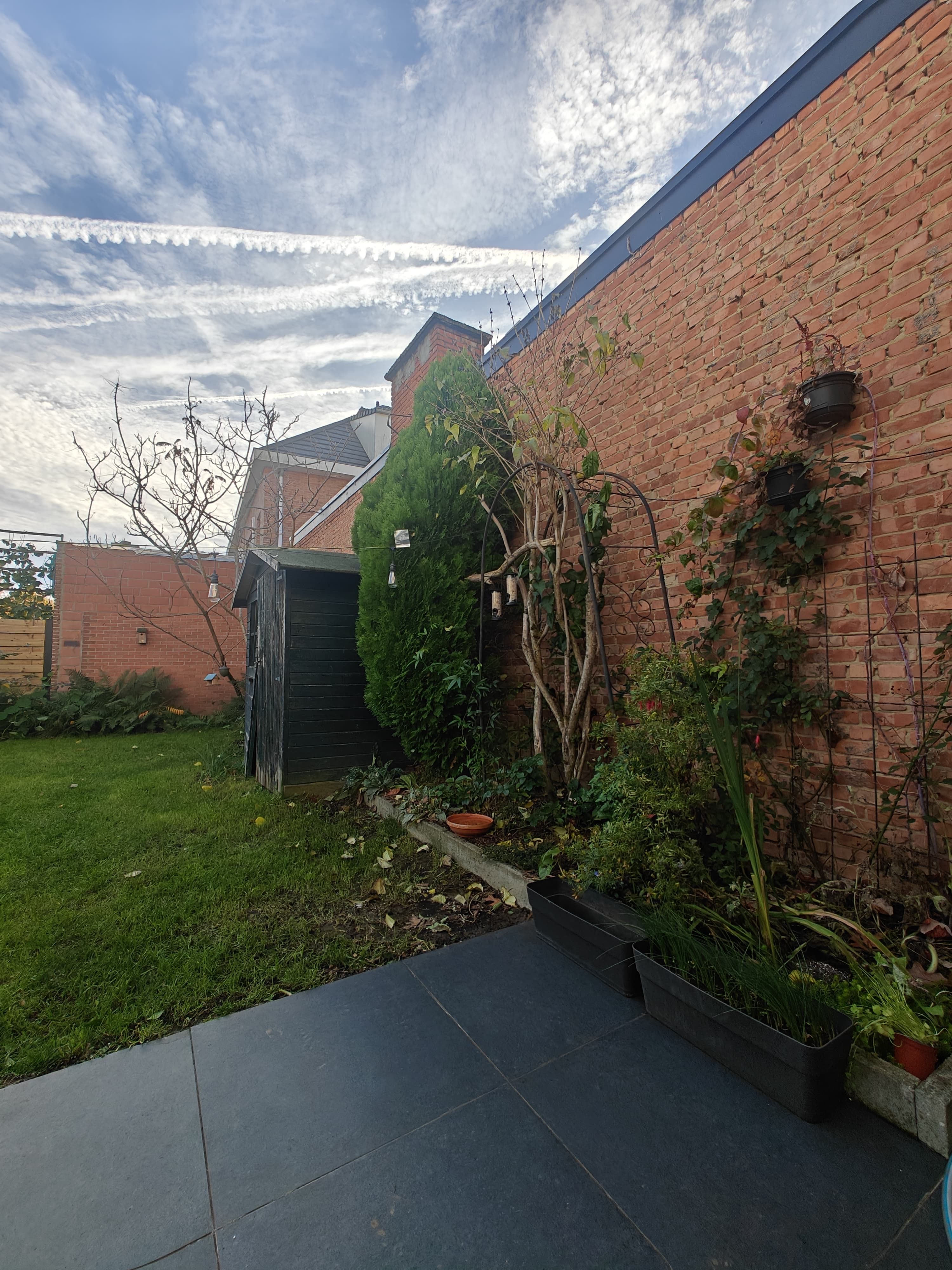 image-13