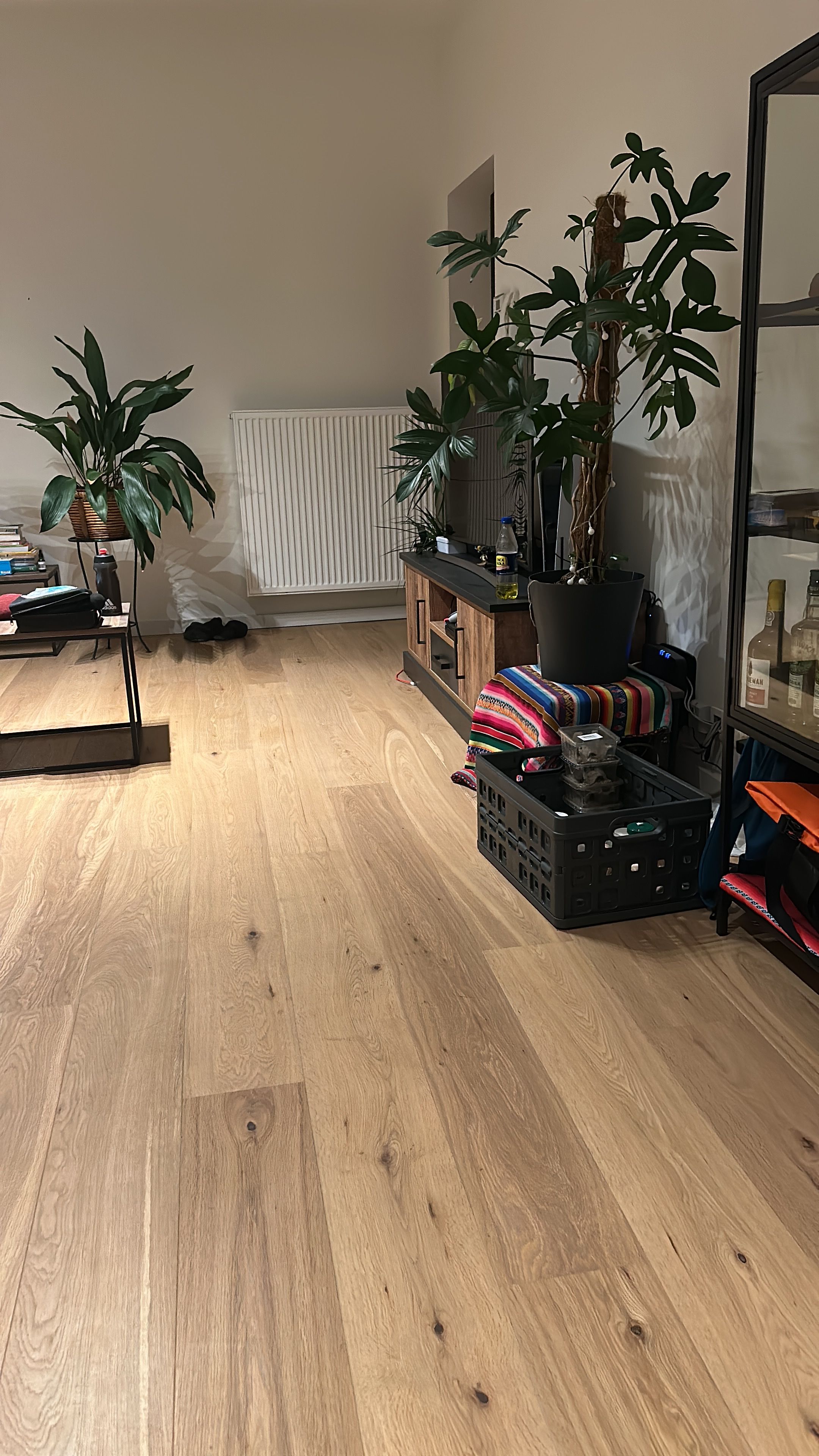 image-20