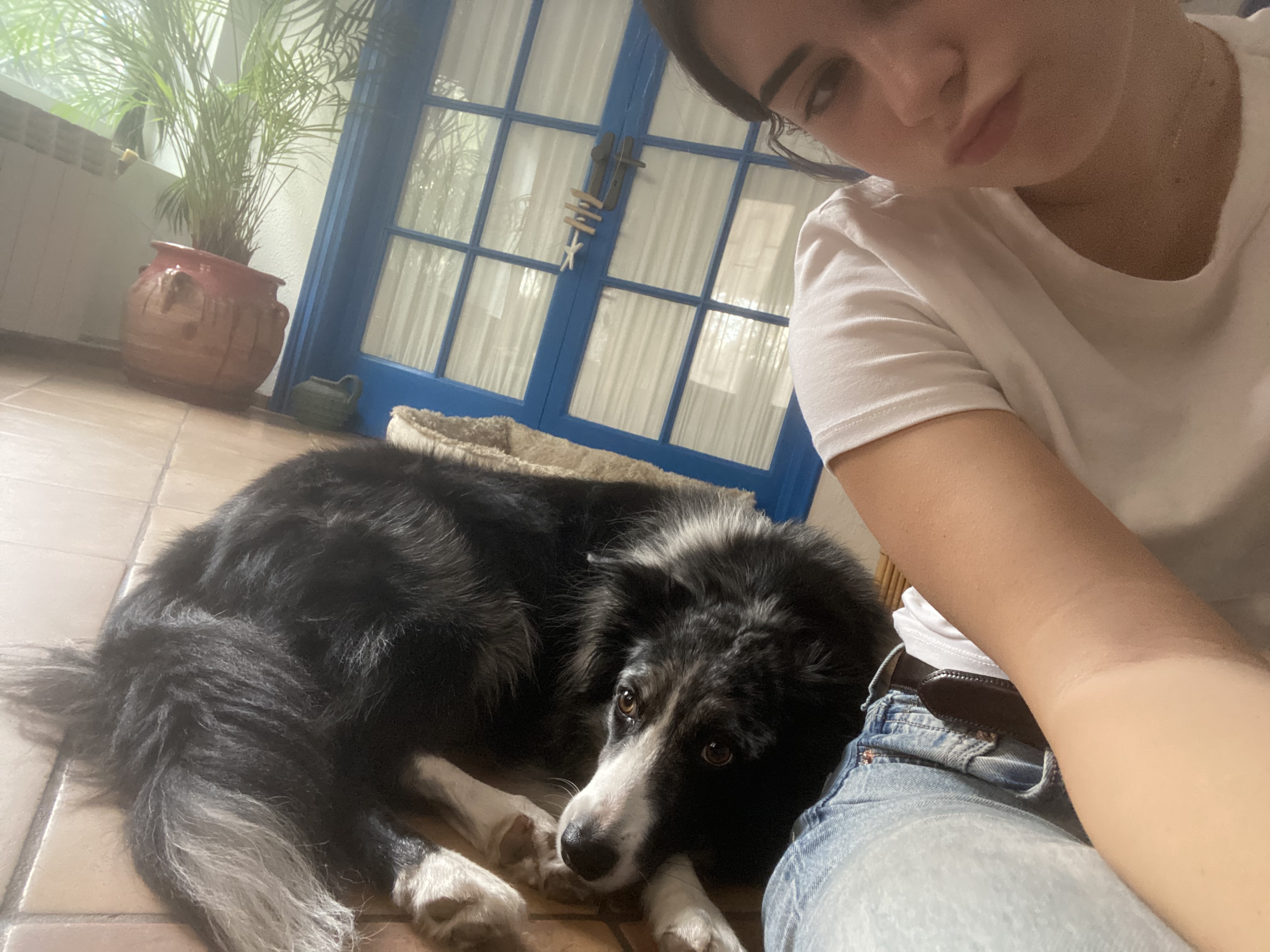 image-6