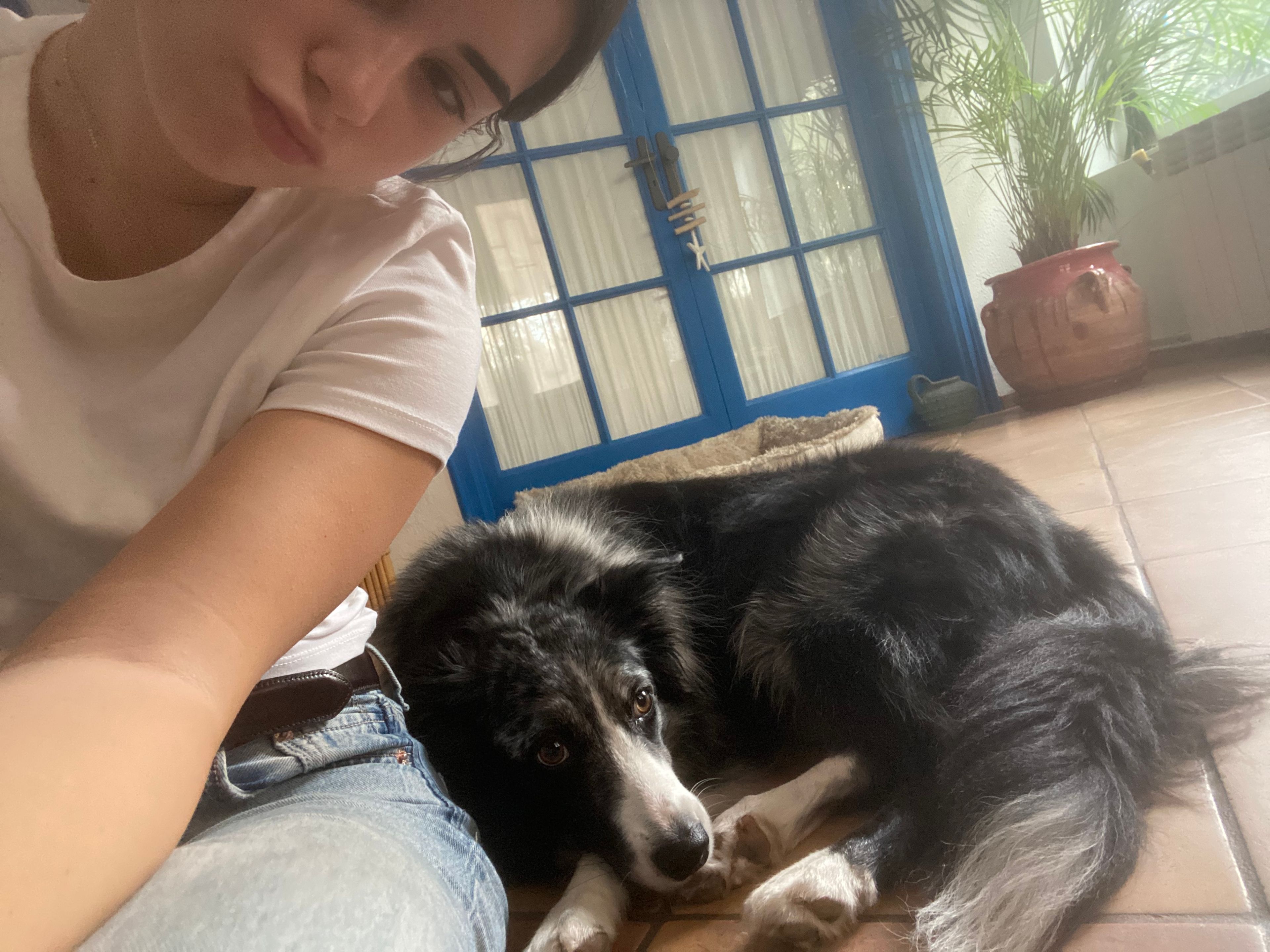 image-6