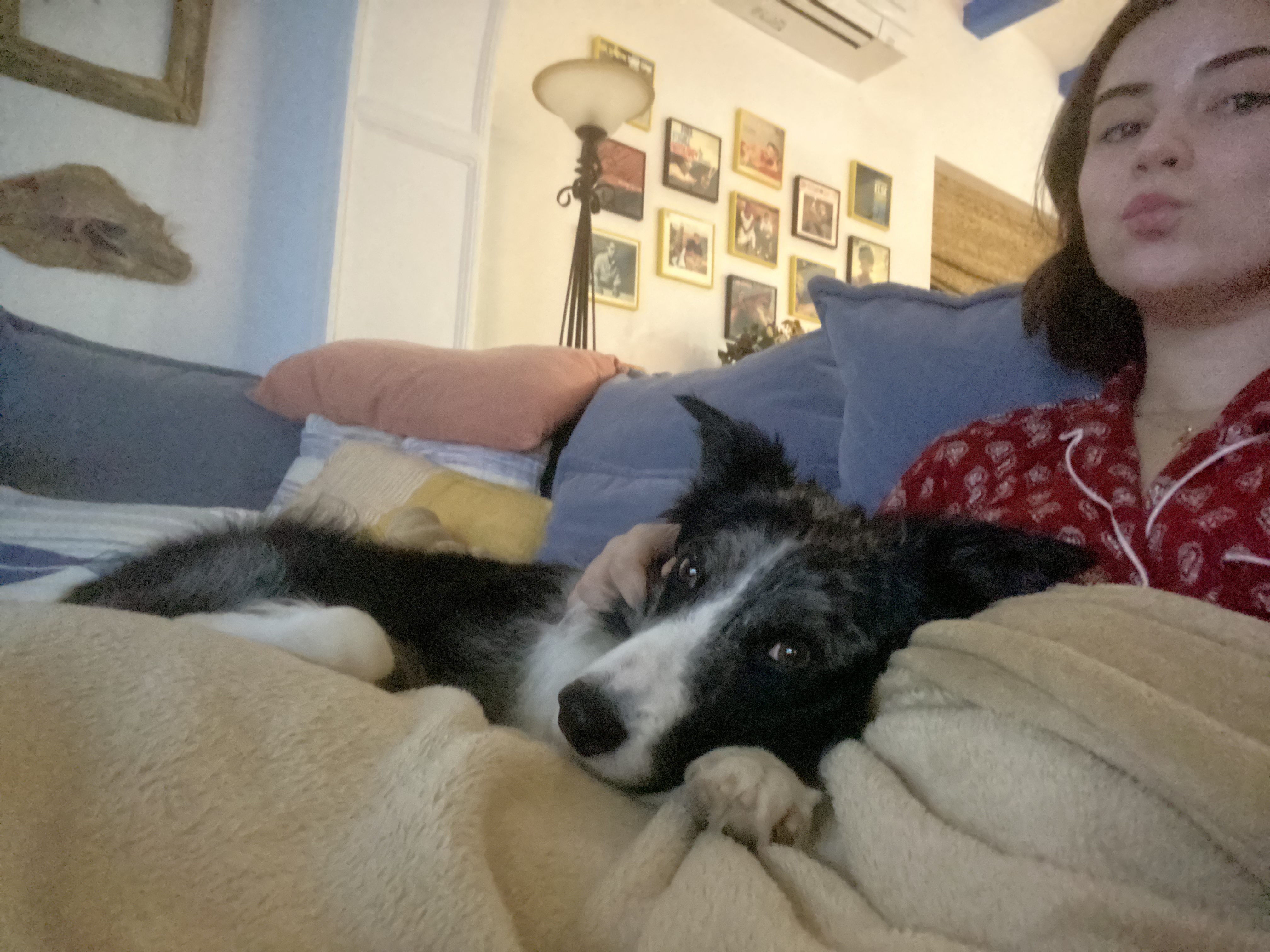 image-5