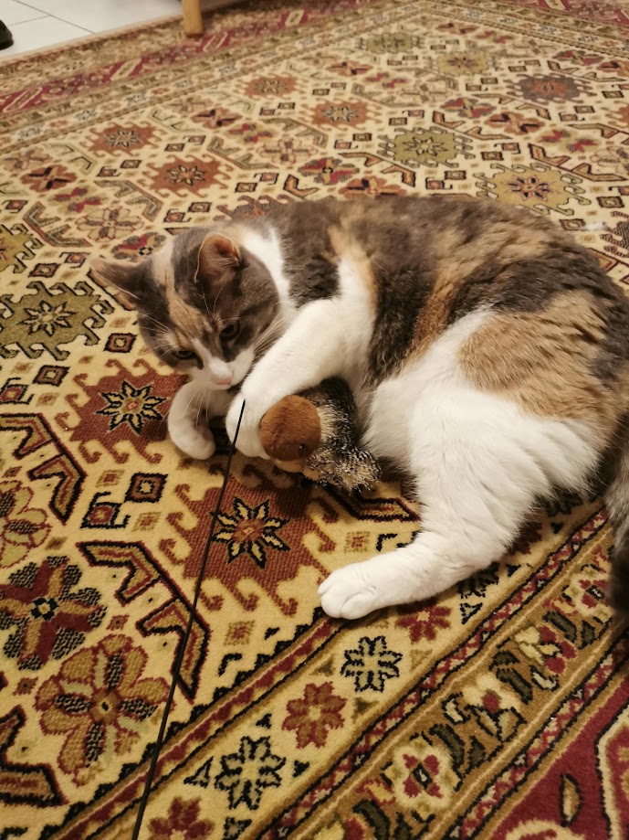 image-5