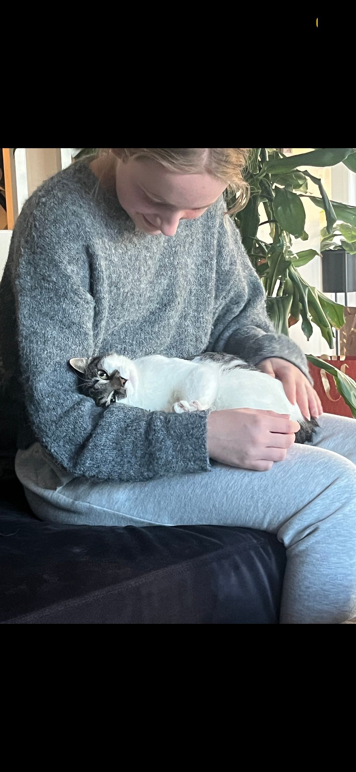 image-4