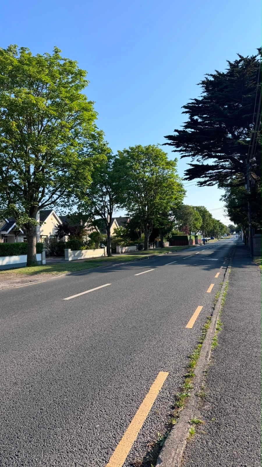 image-24
