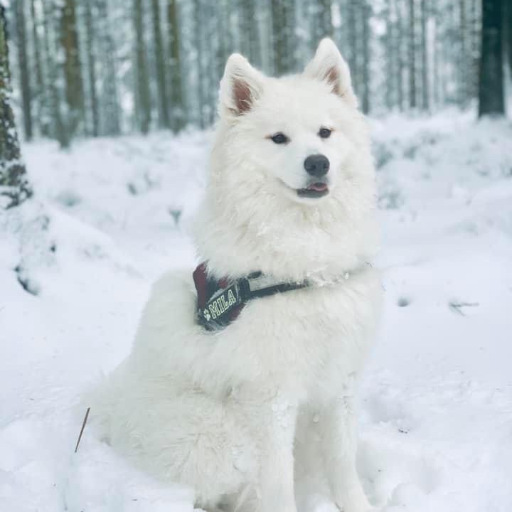 Mila