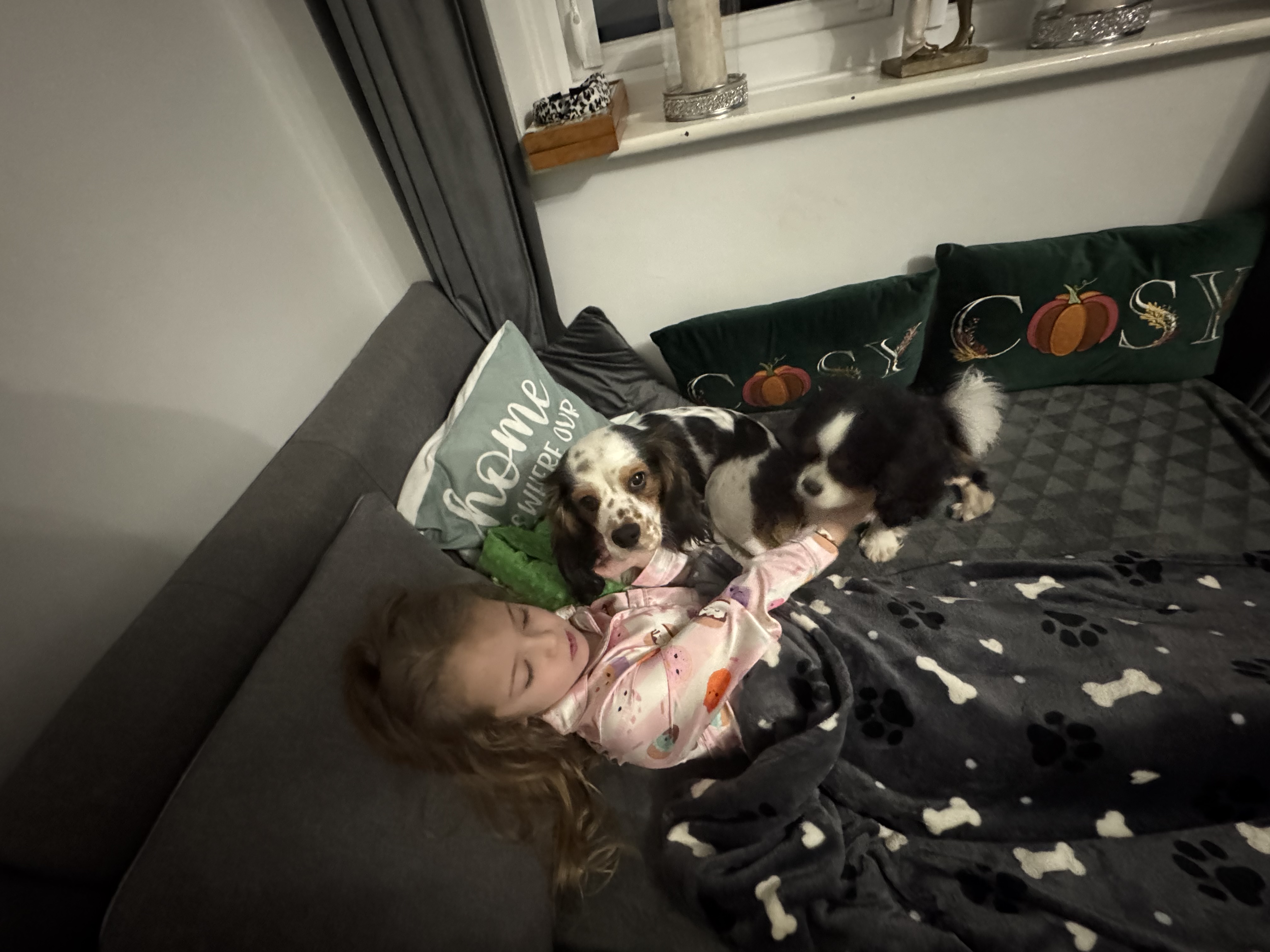 image-48