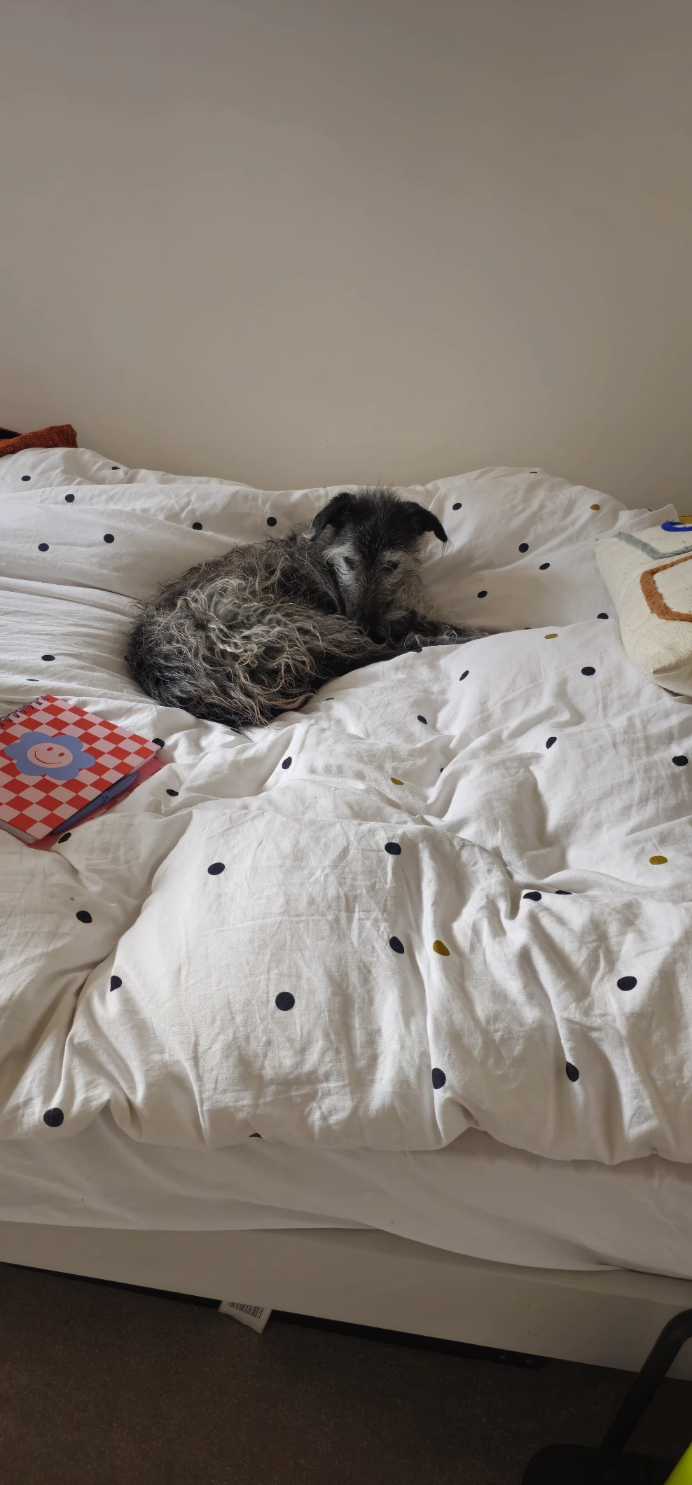 image-8