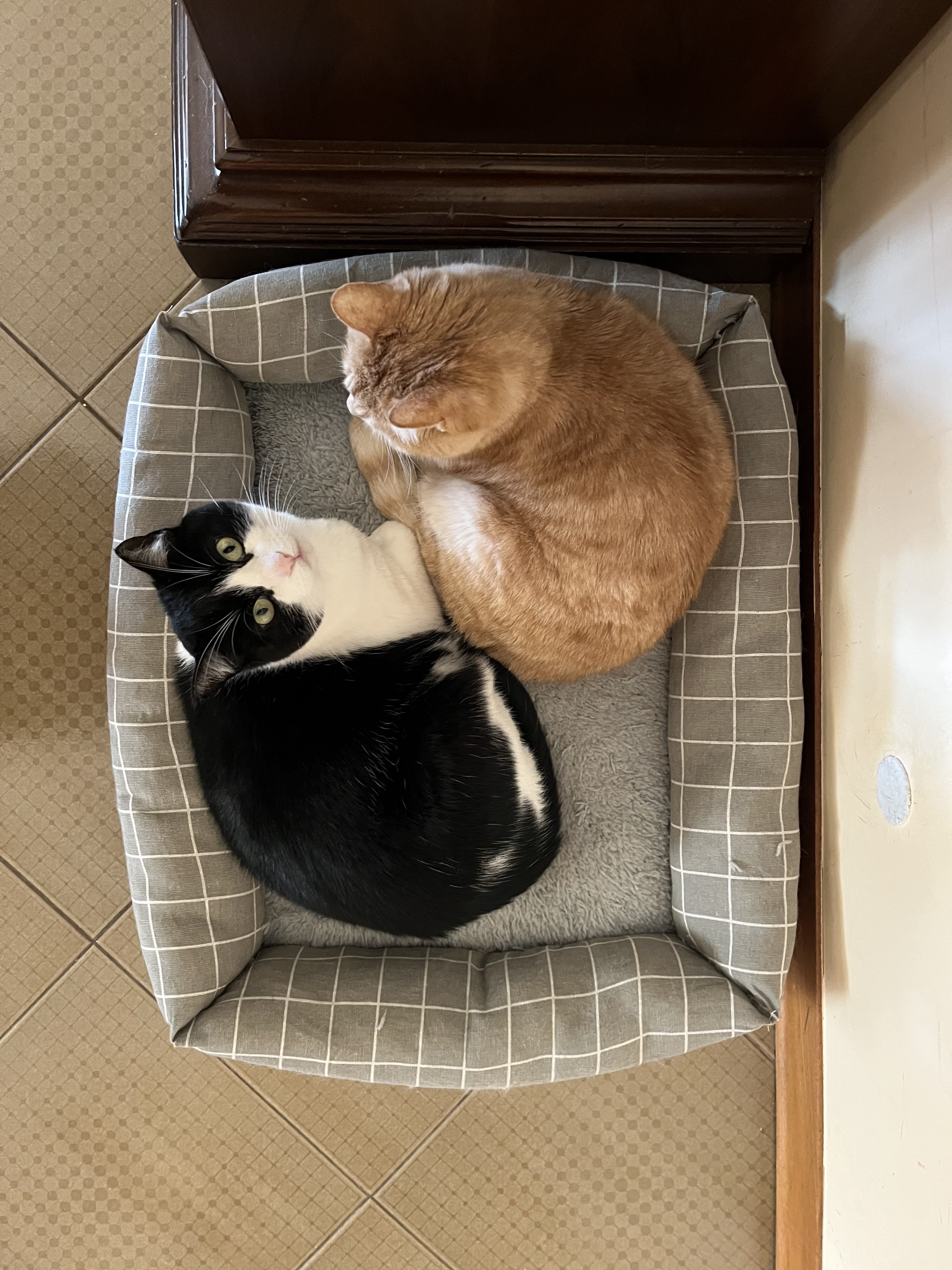 image-11