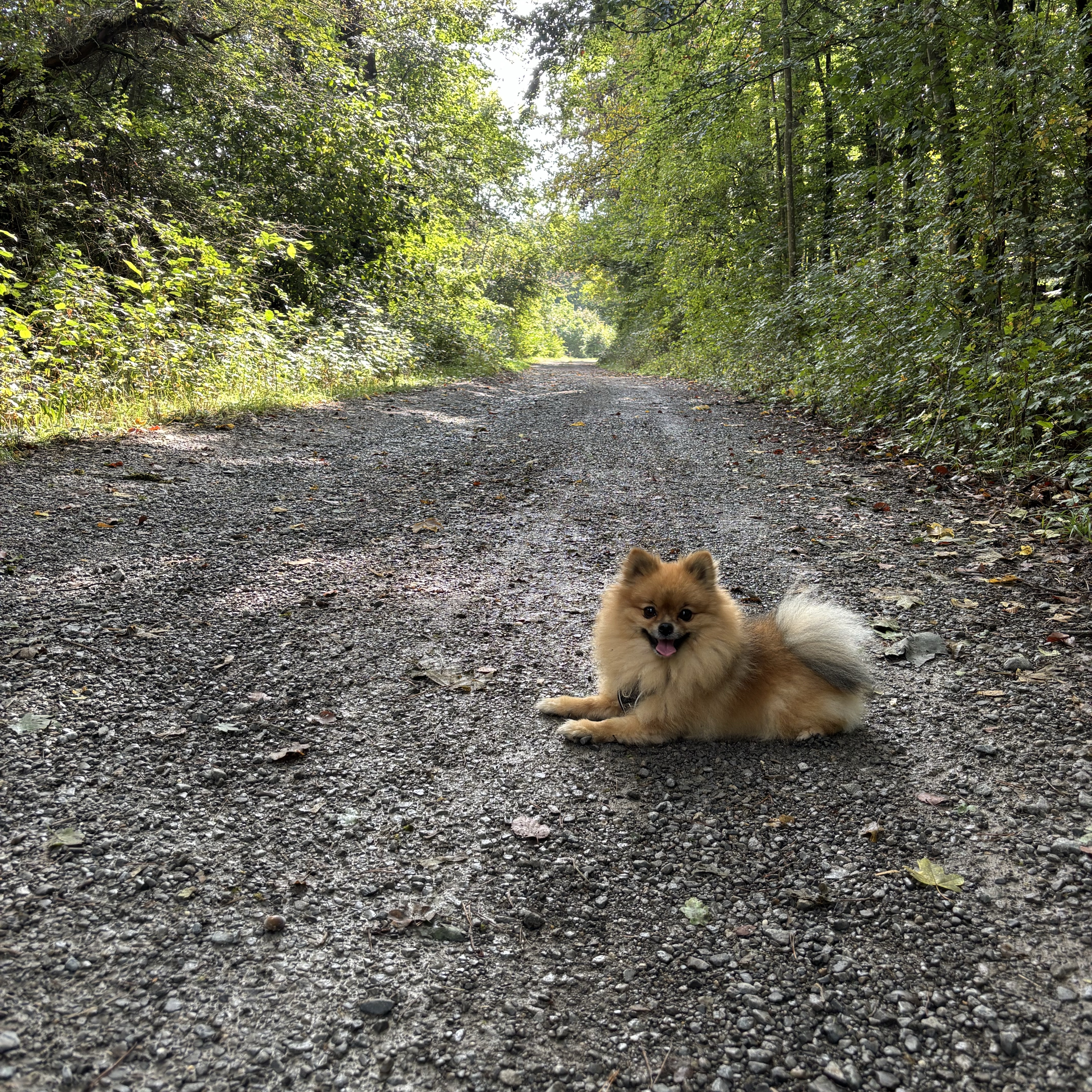 Milo