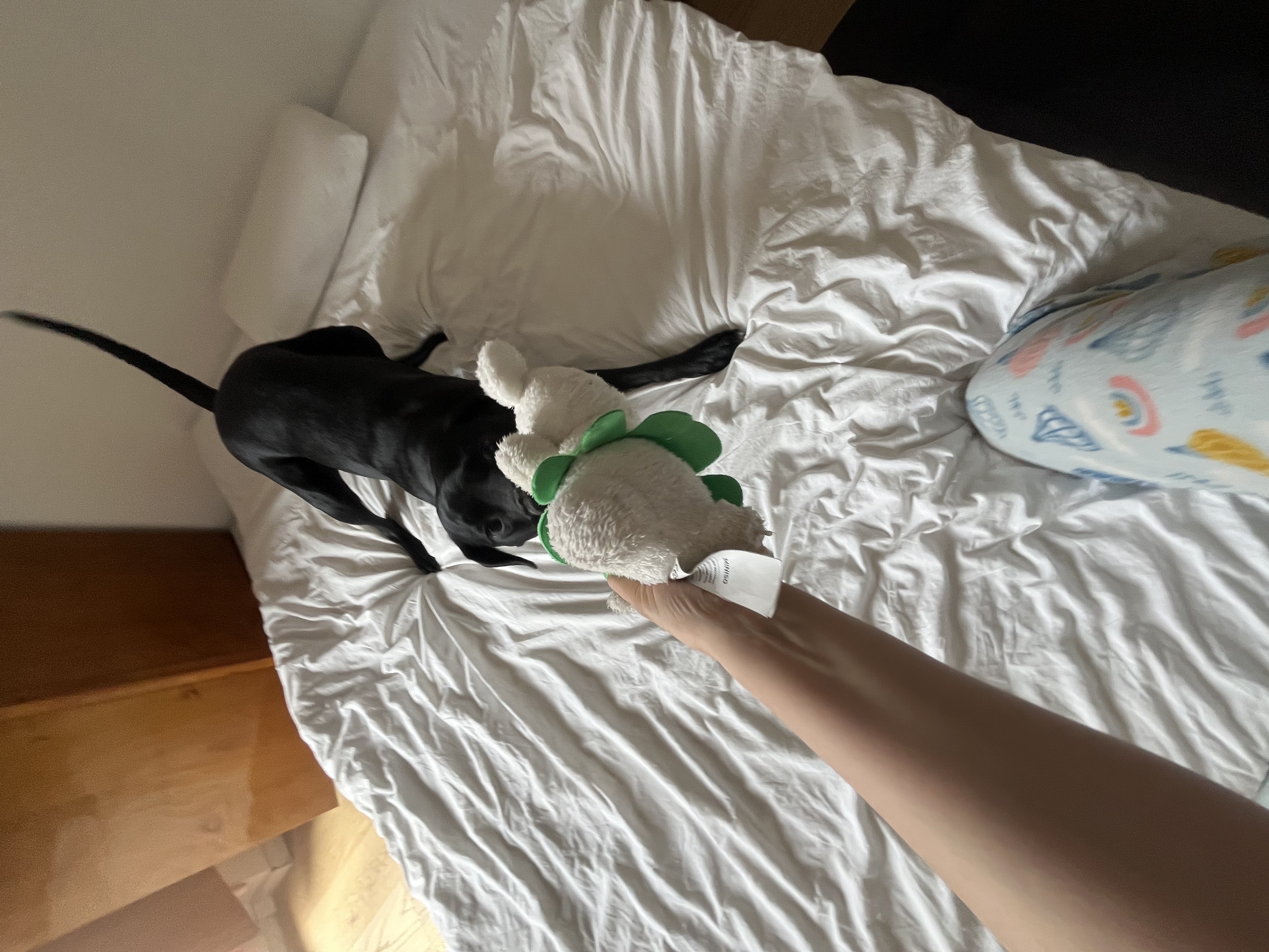 image-8