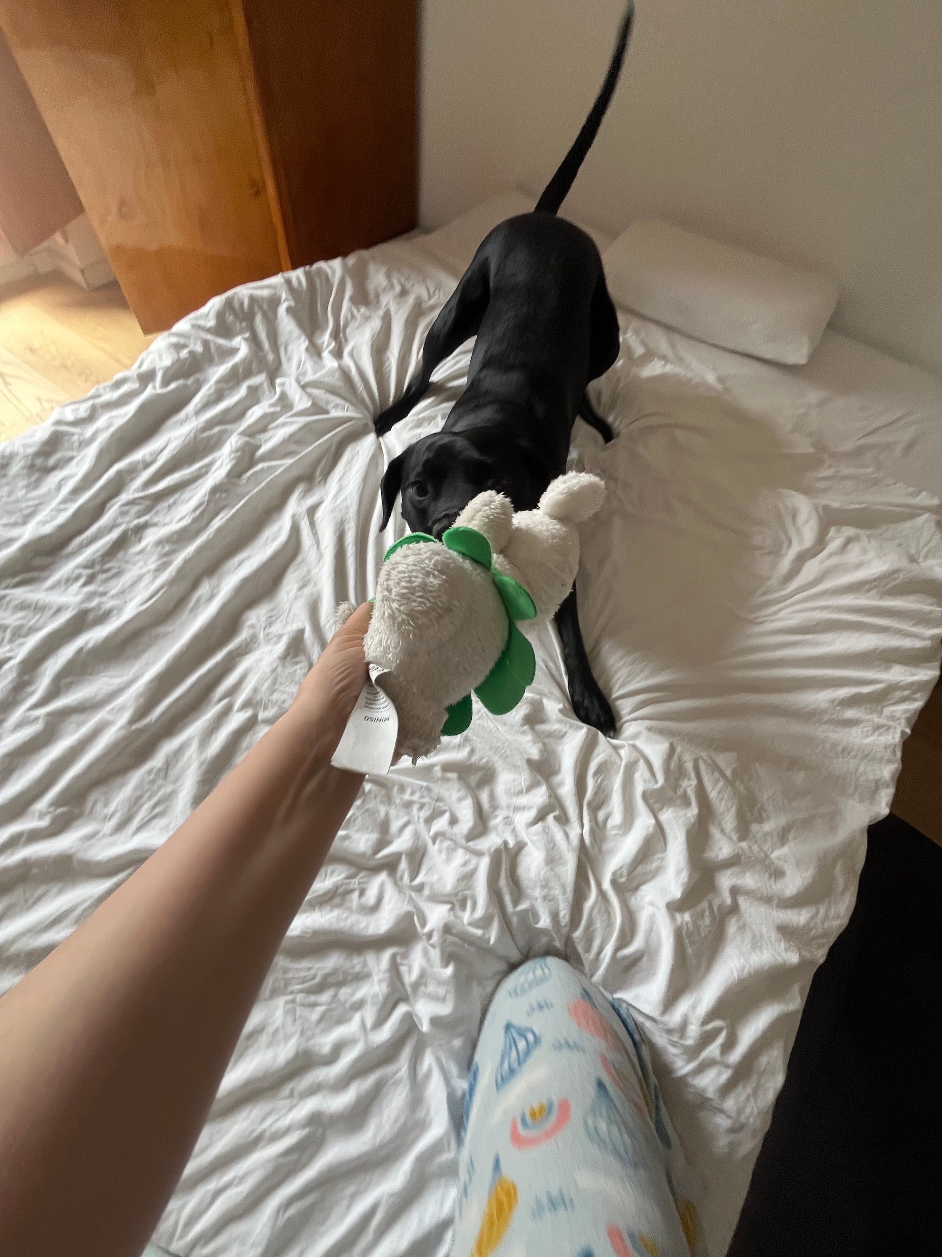 image-8