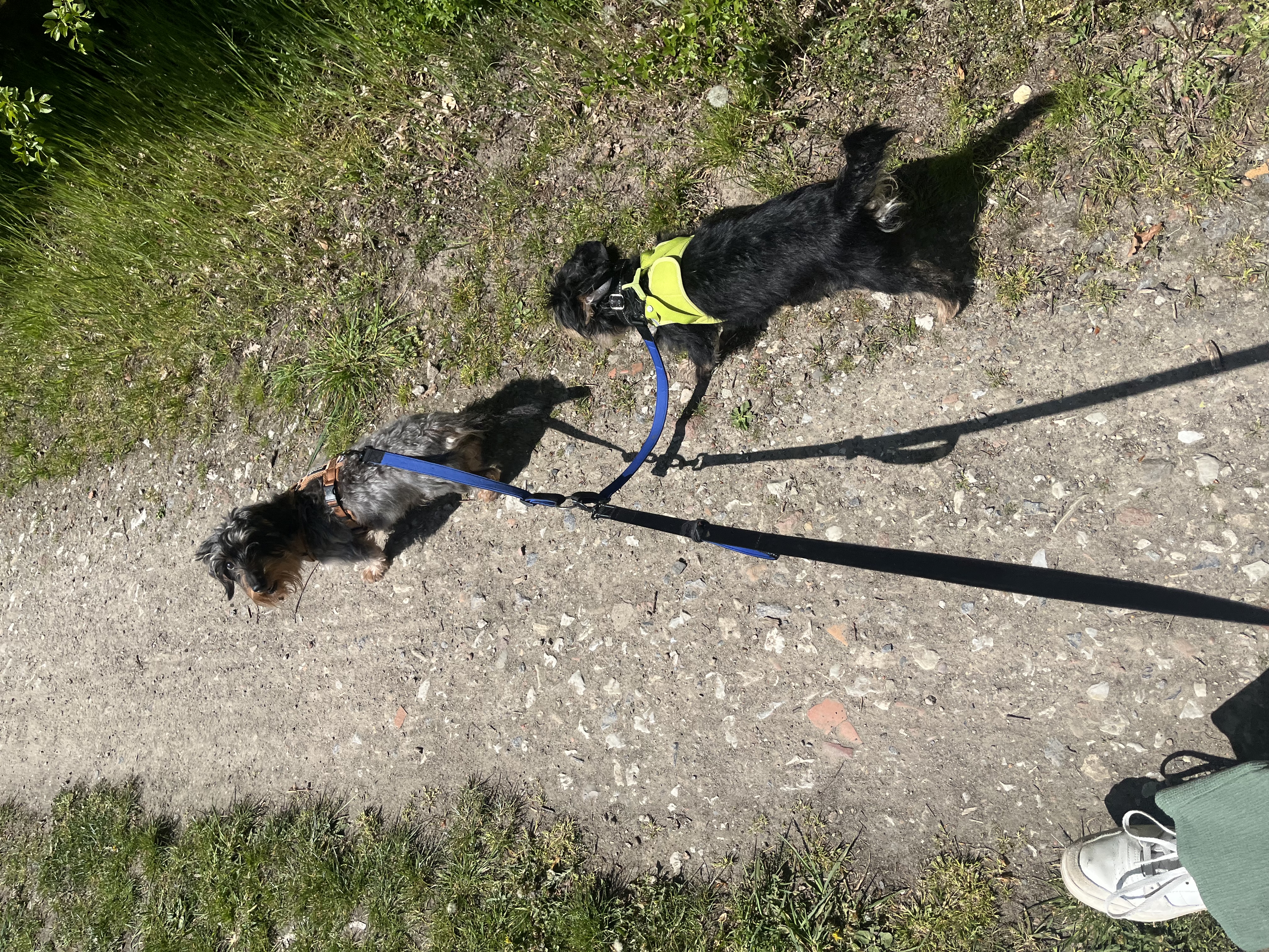 image-10
