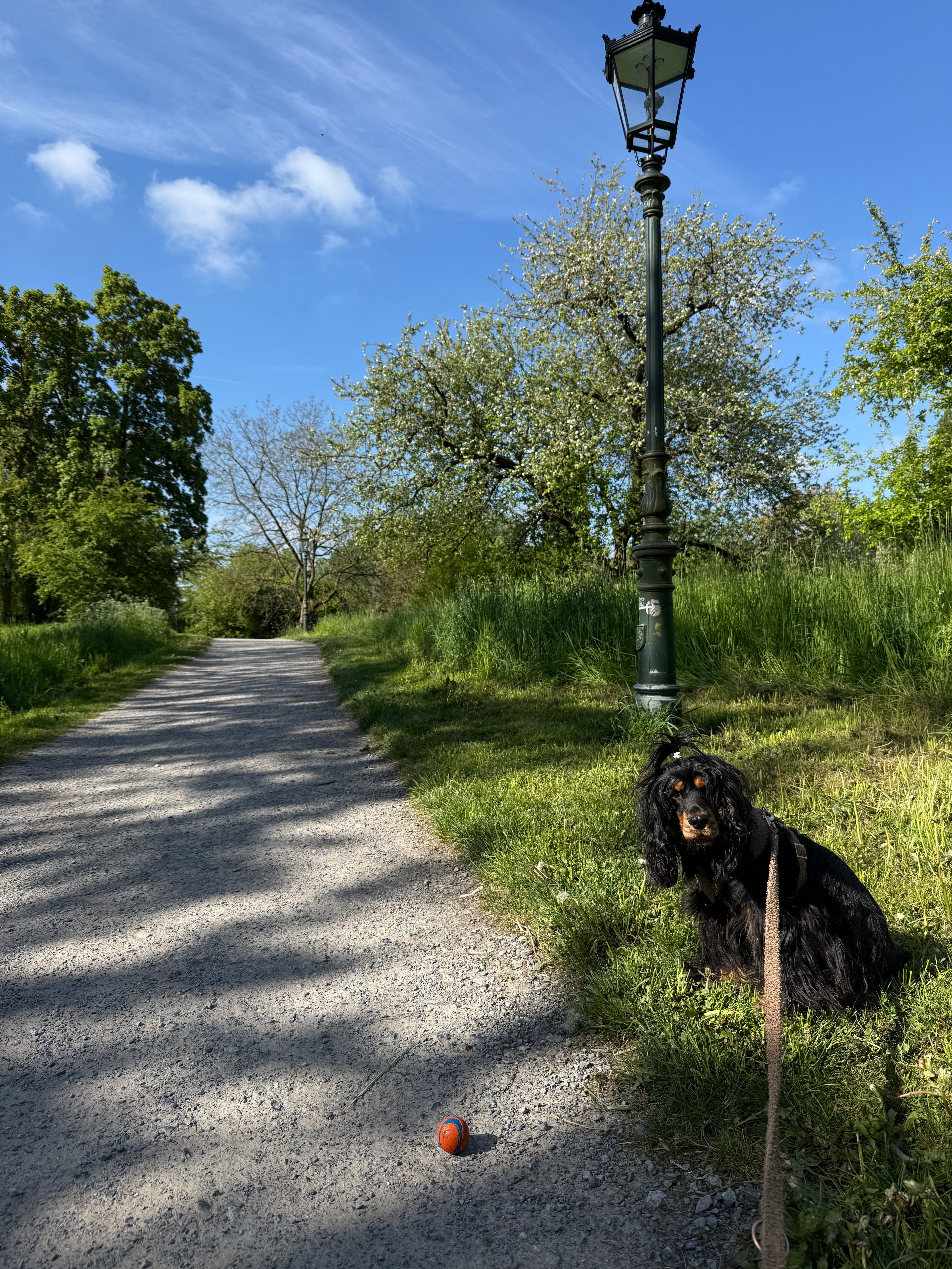 image-20