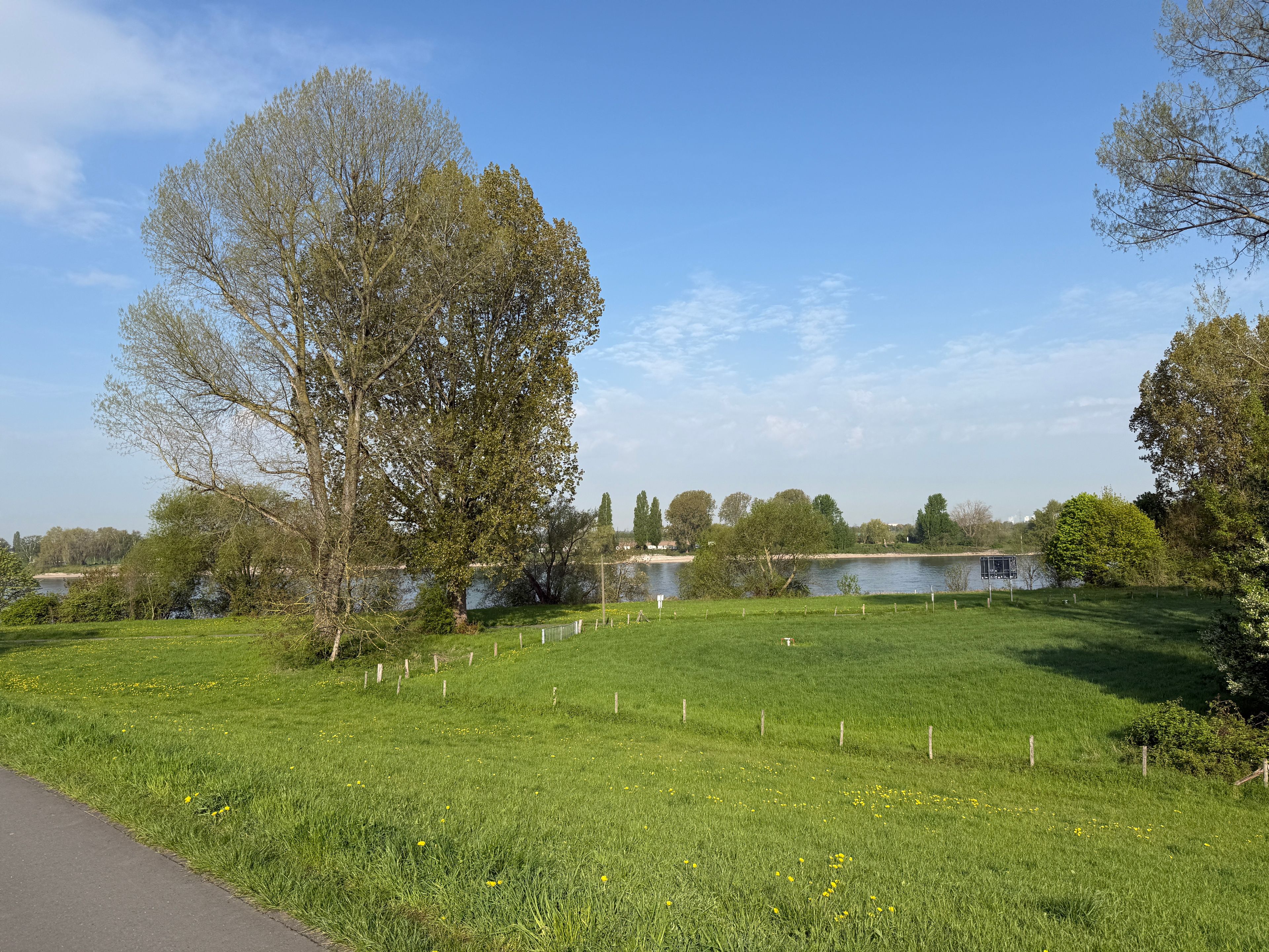 image-25