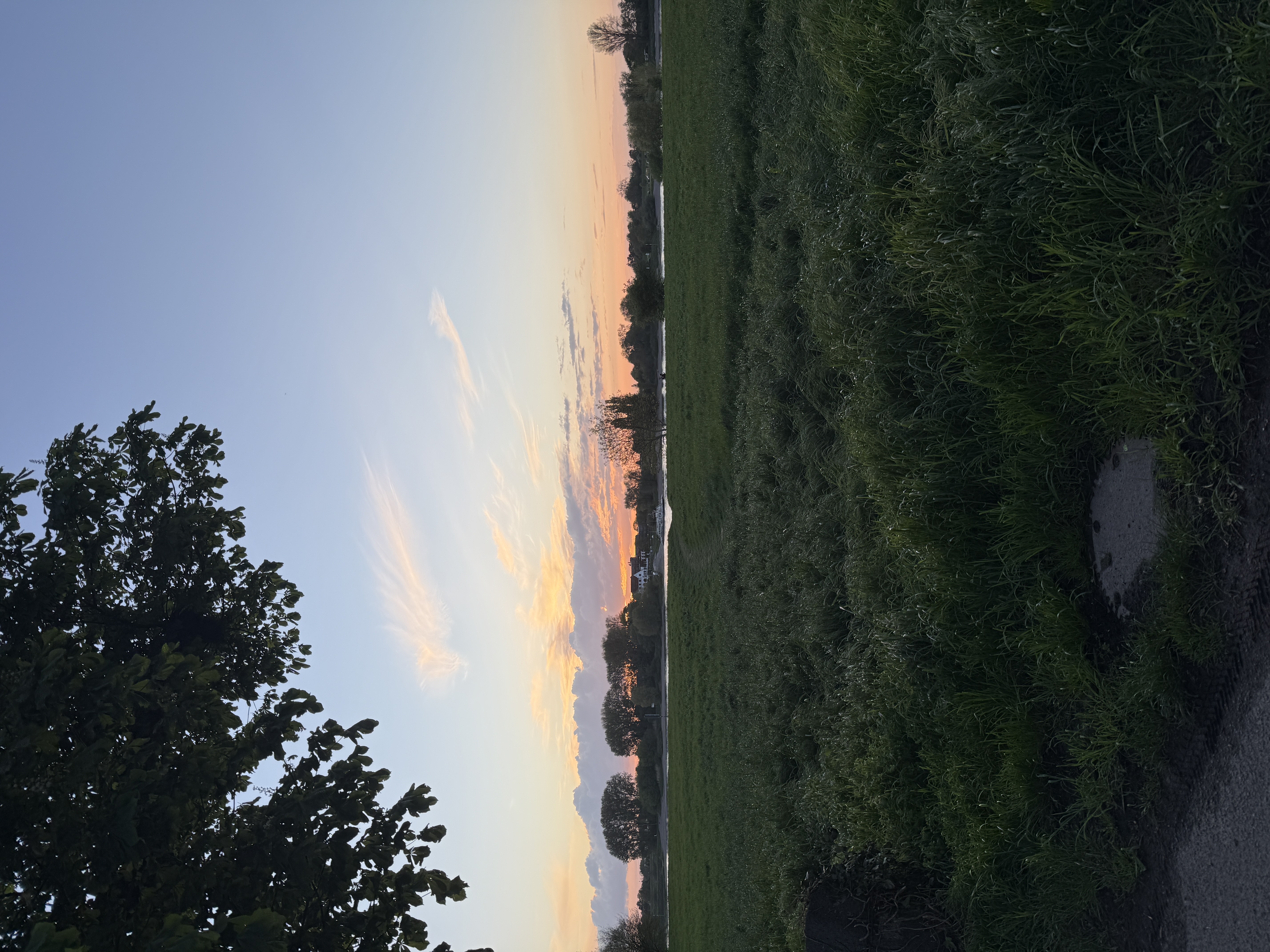 image-24