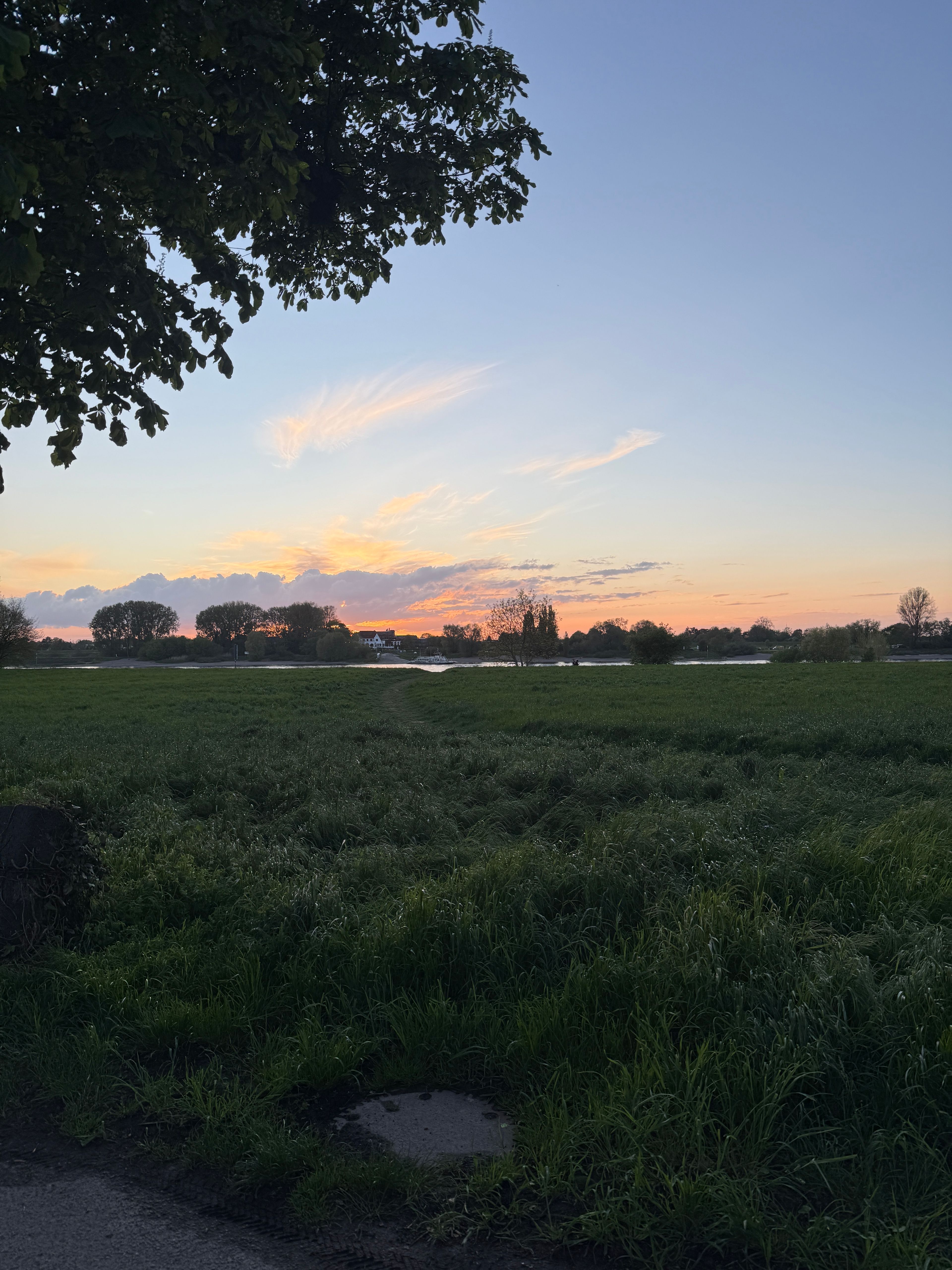 image-24