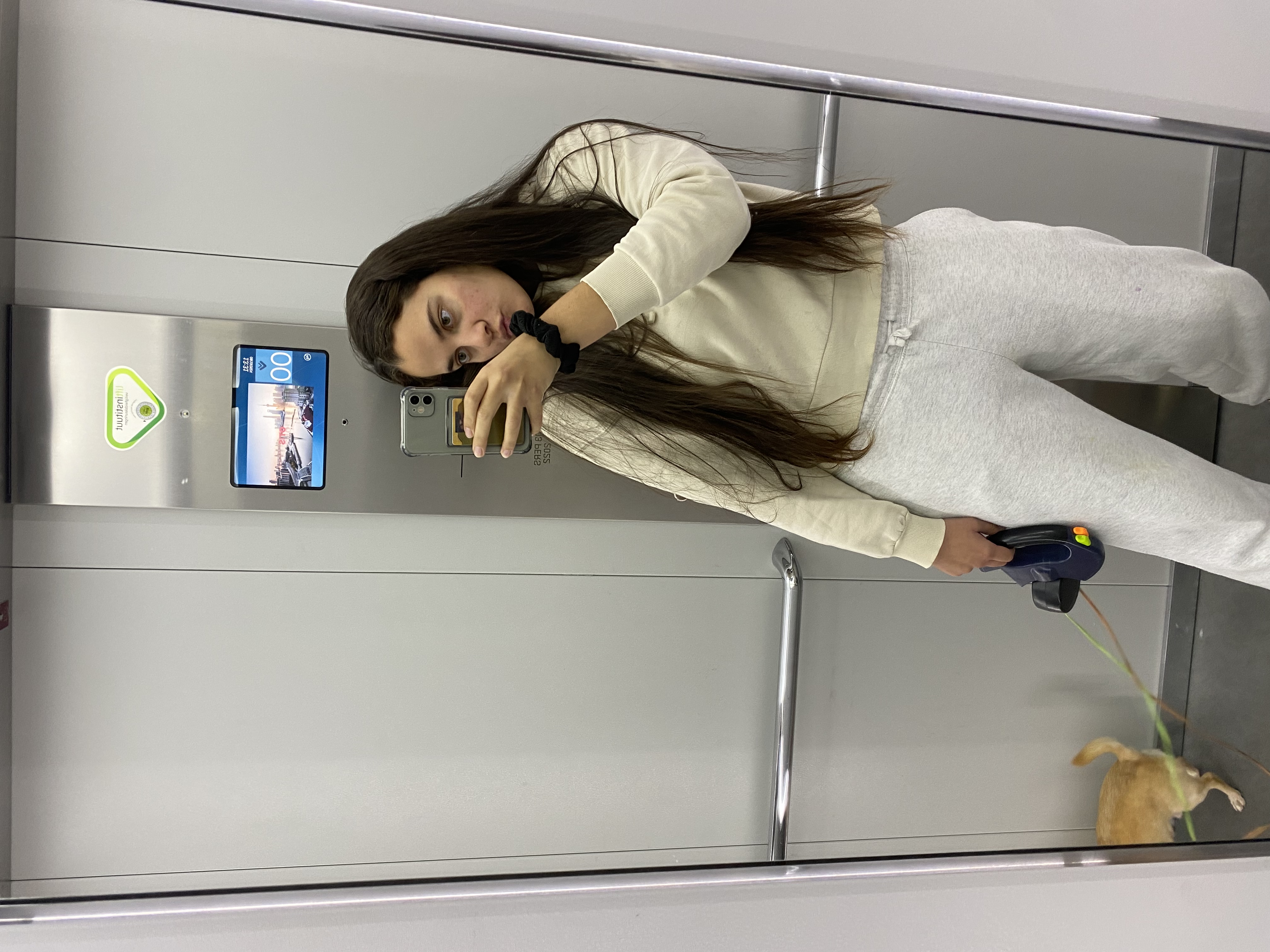image-4