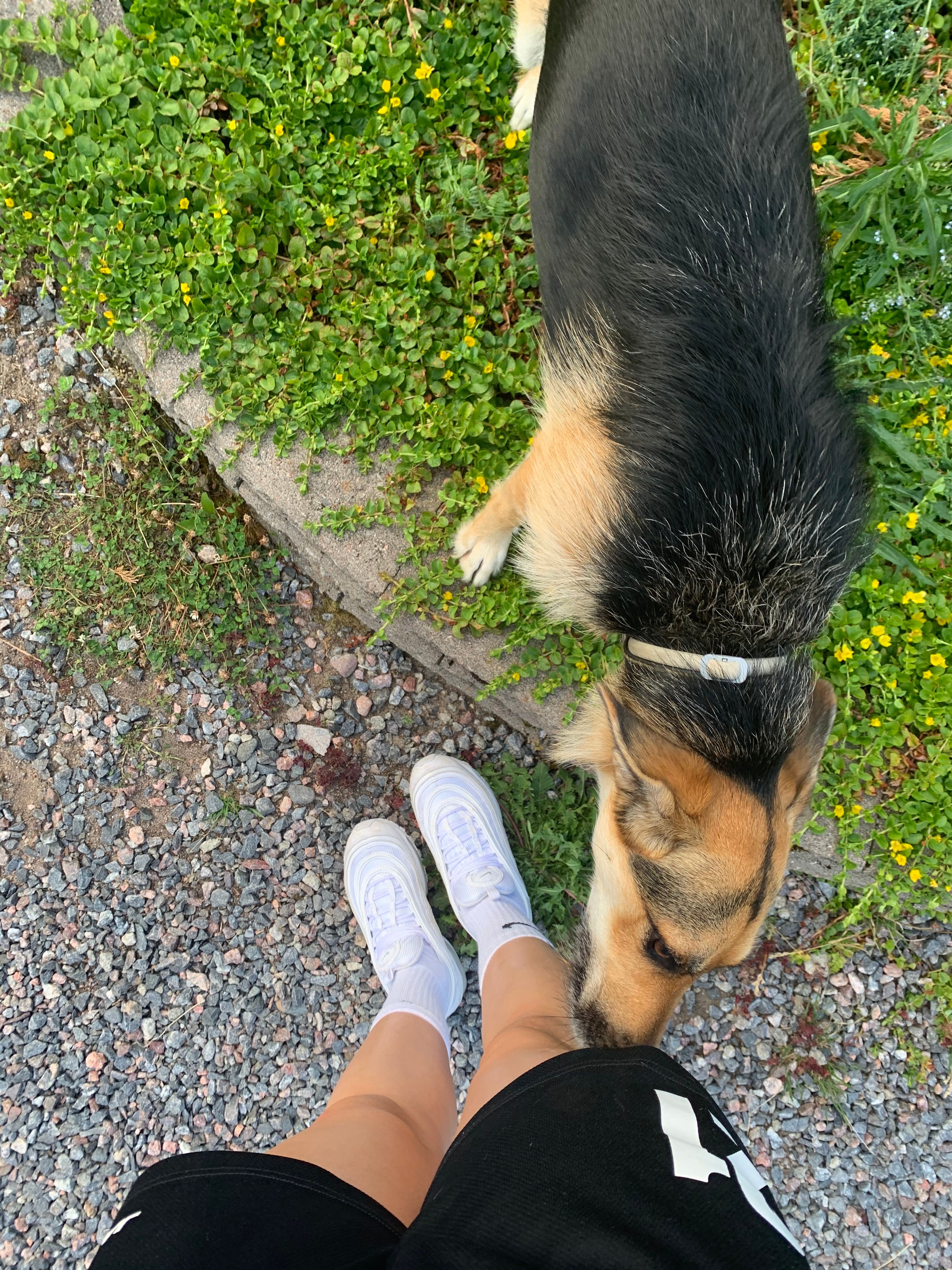 image-7