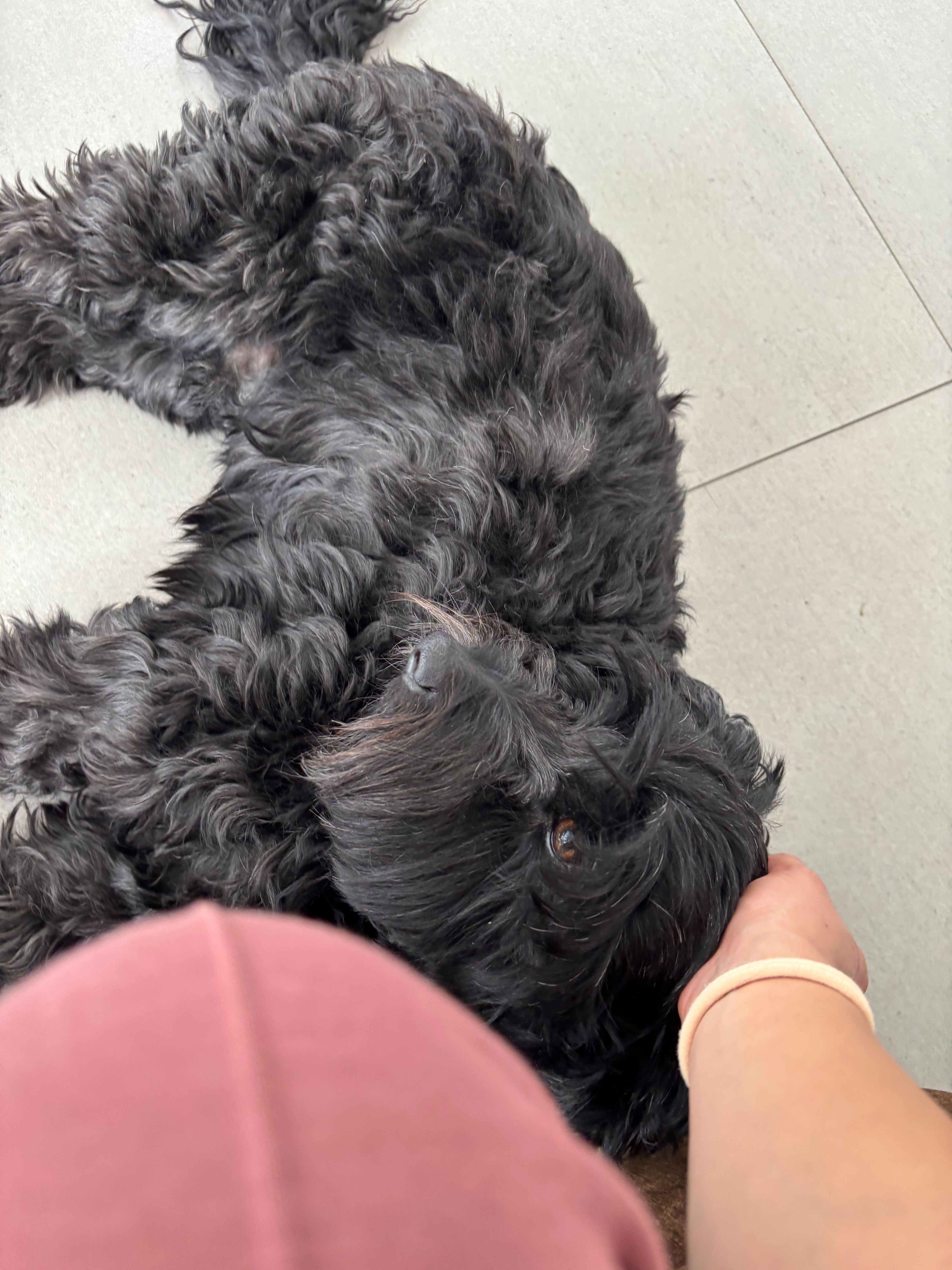 image-8