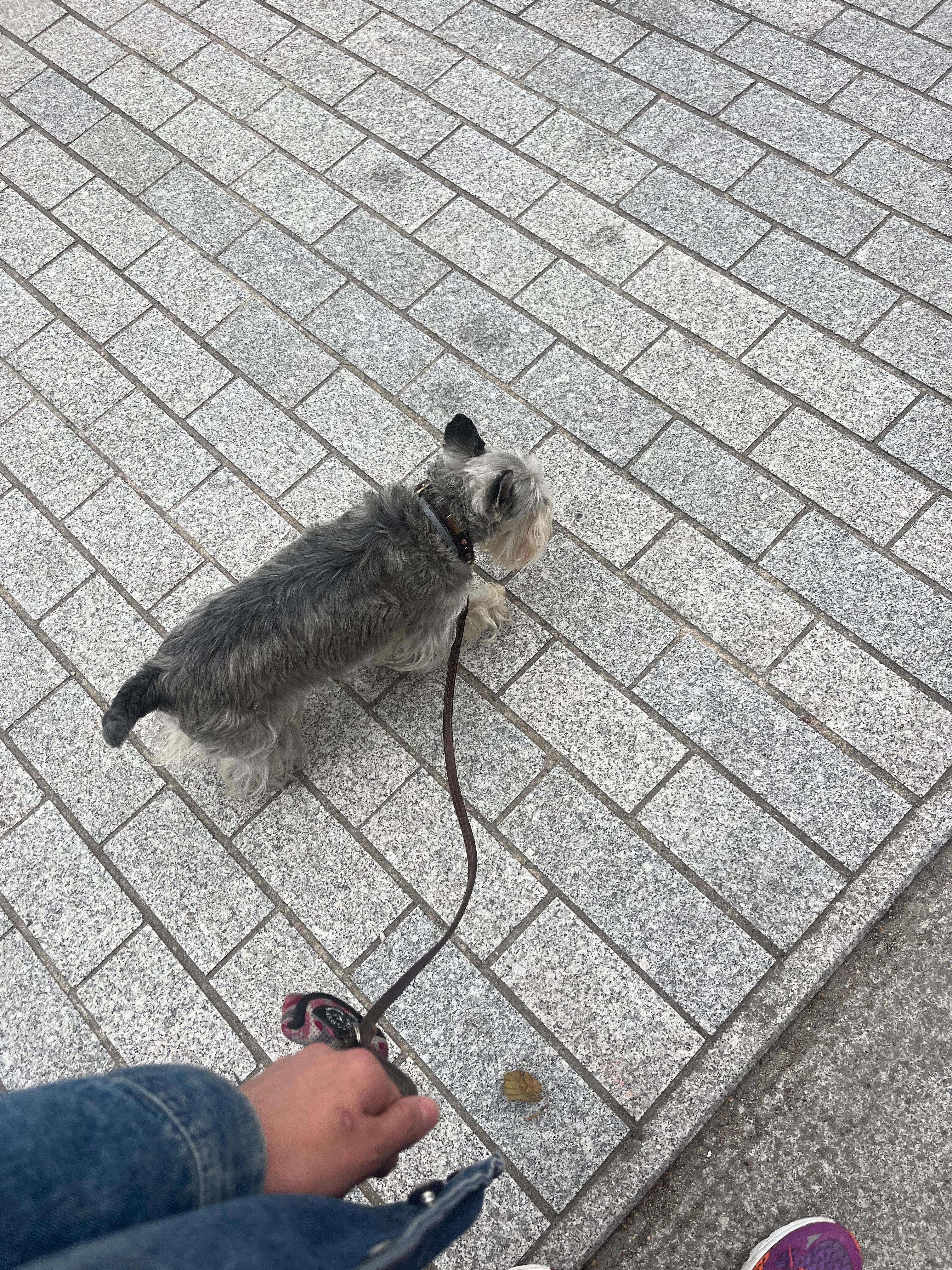 image-4