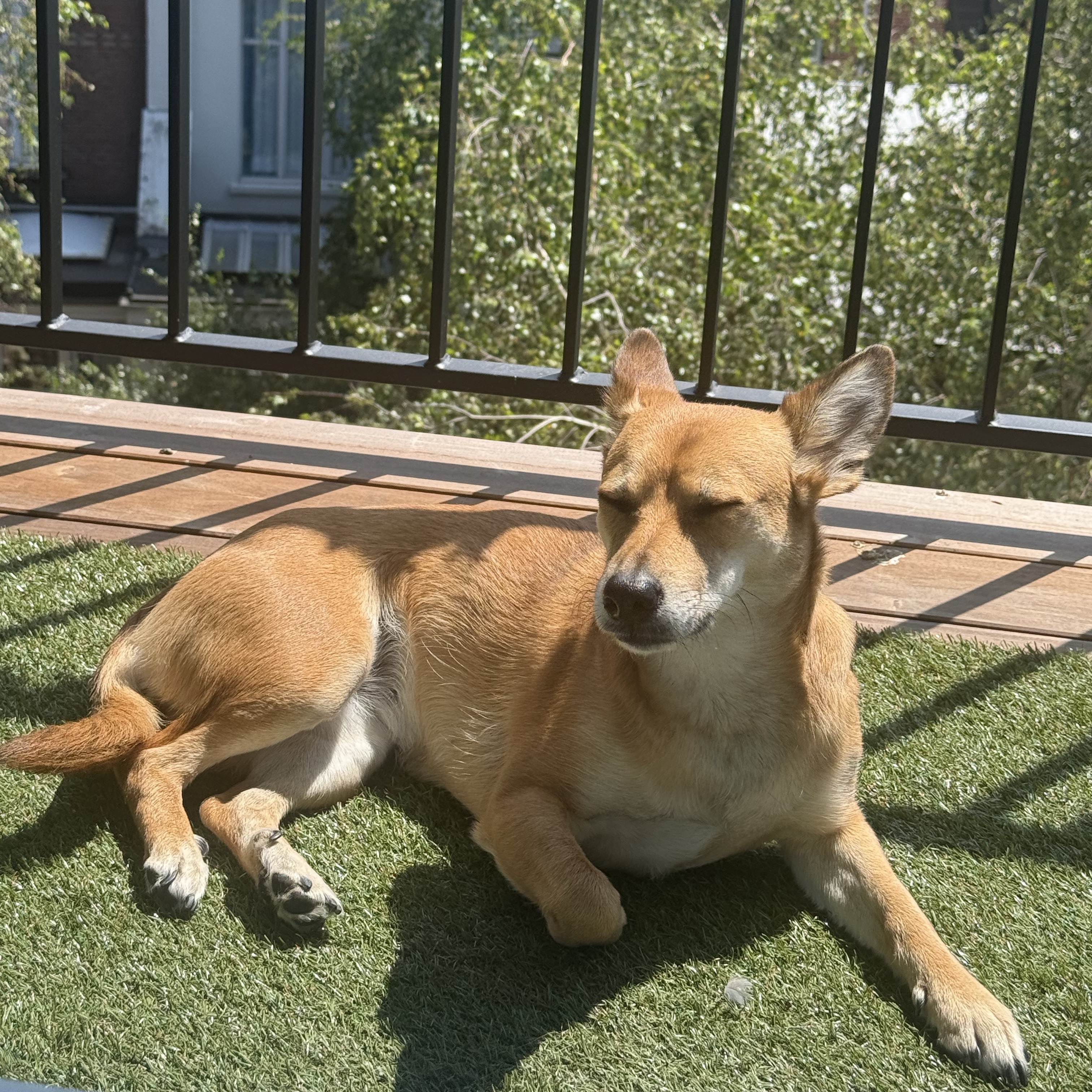 Matilda 