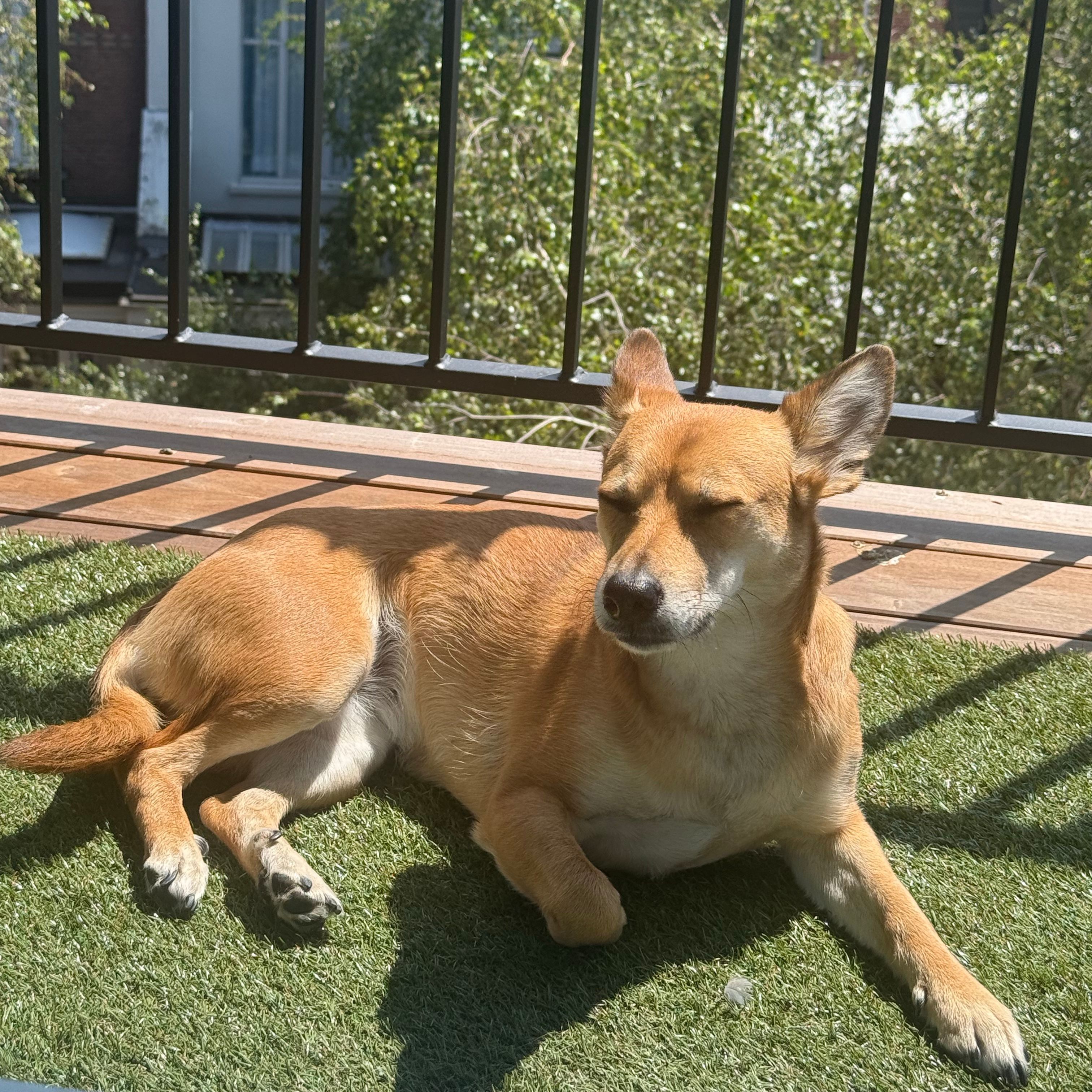 Matilda