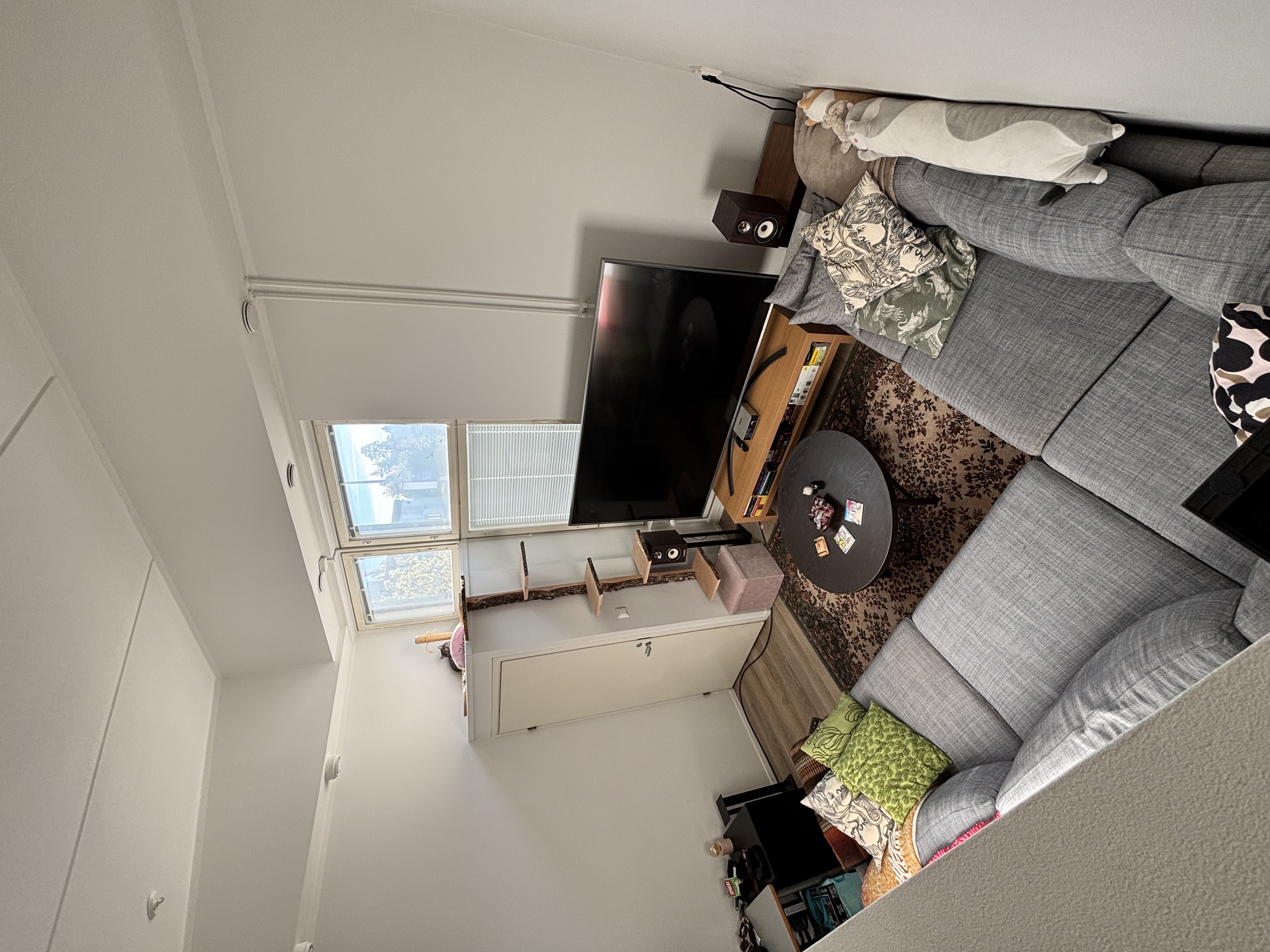 image-12