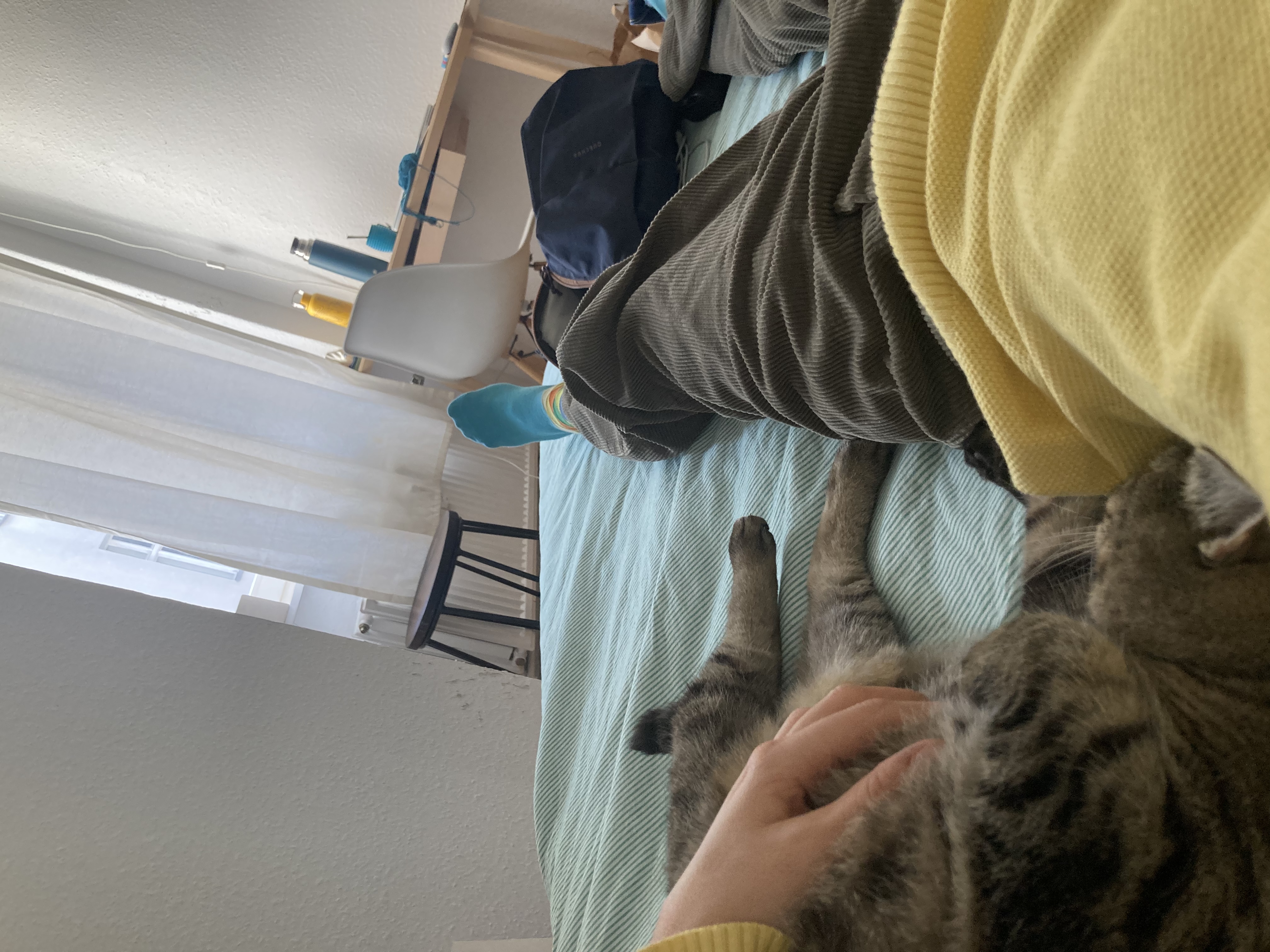 image-7