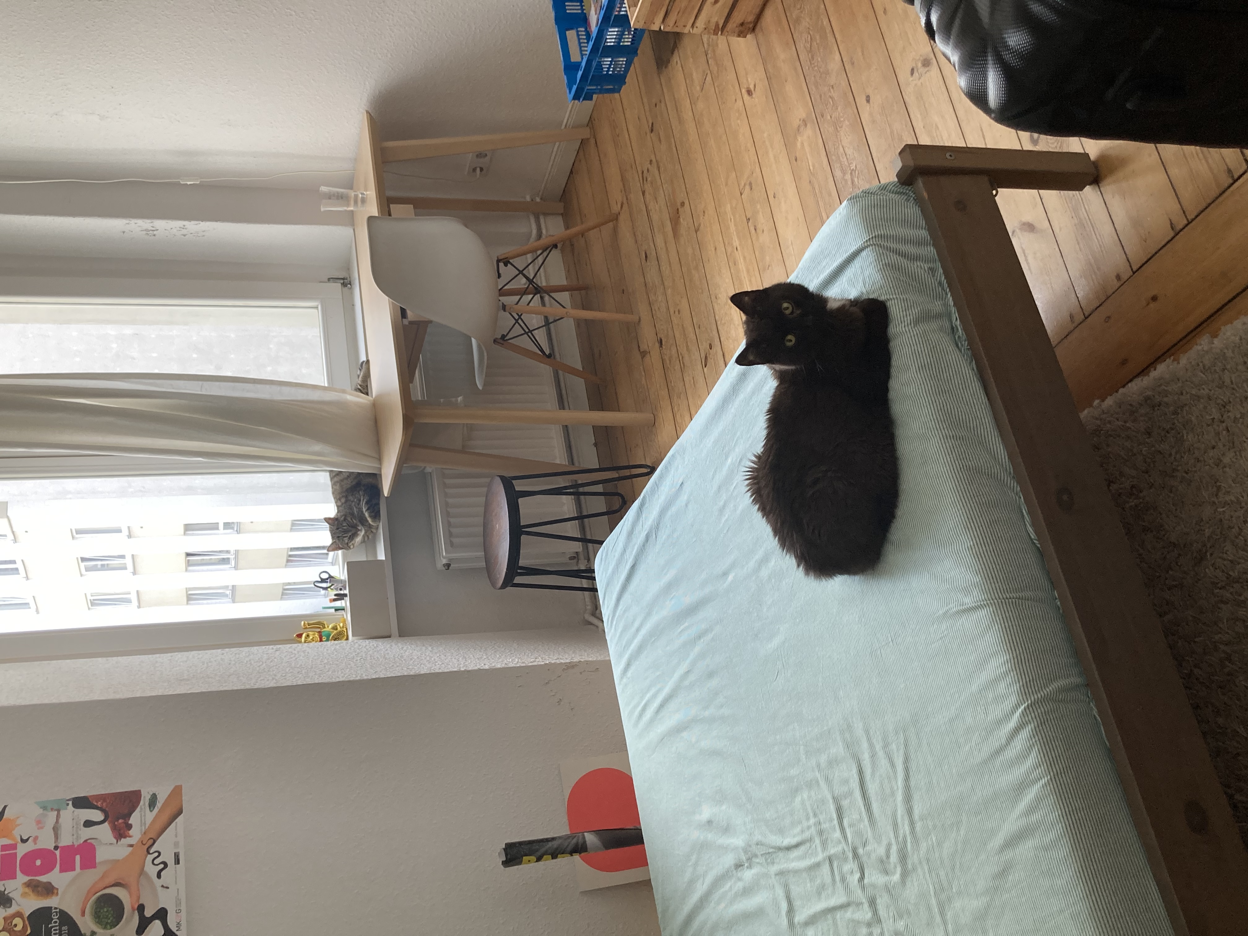 image-8
