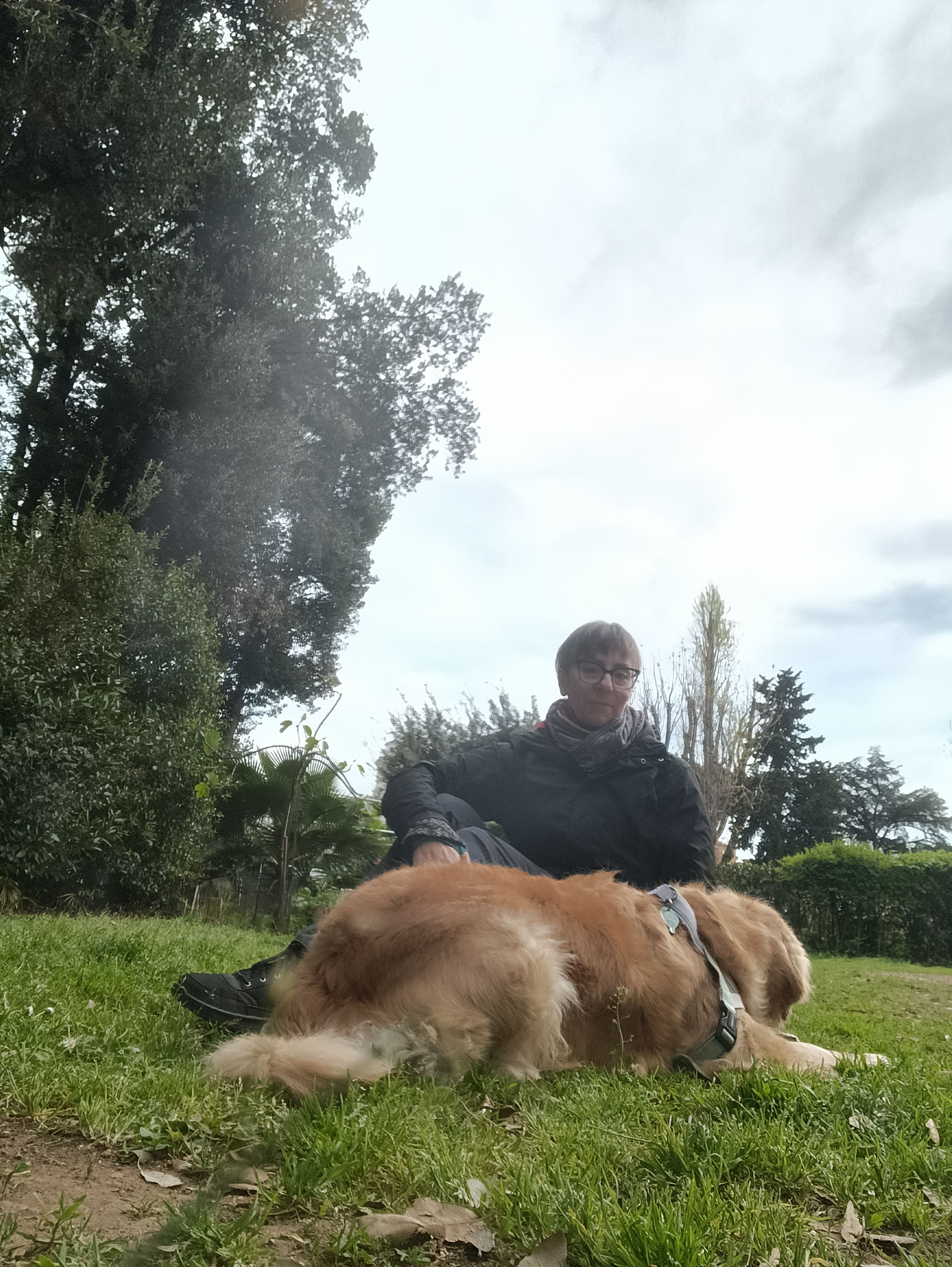 image-4