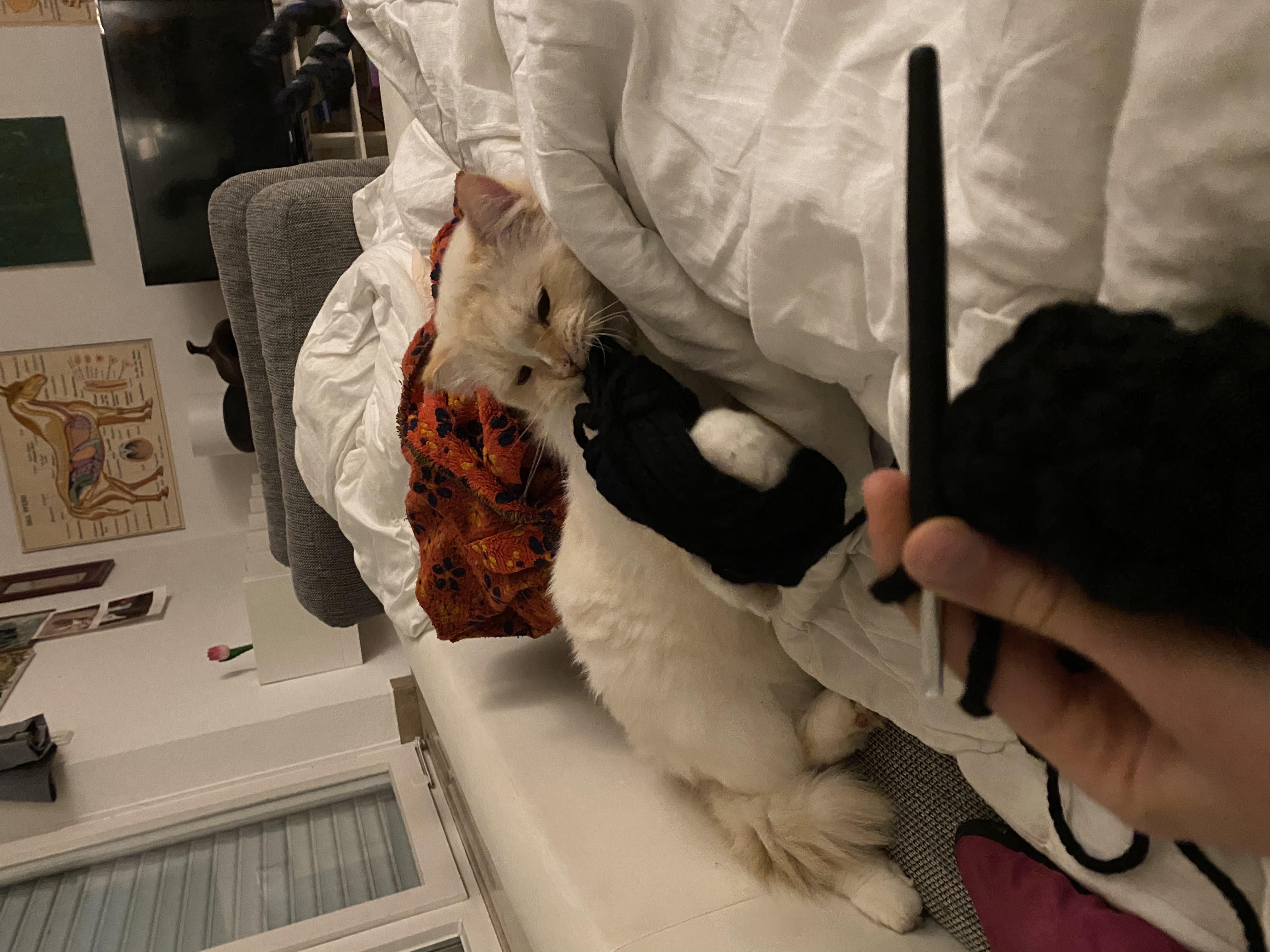 image-10