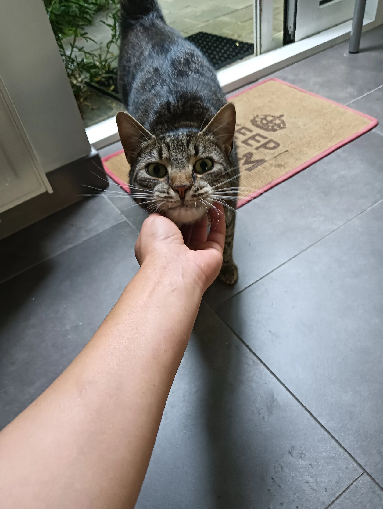image-28