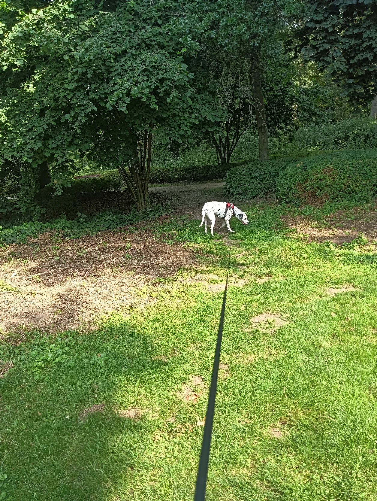 image-25