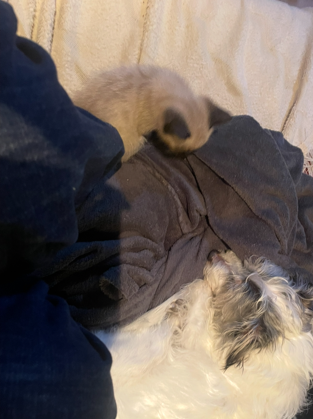 image-5