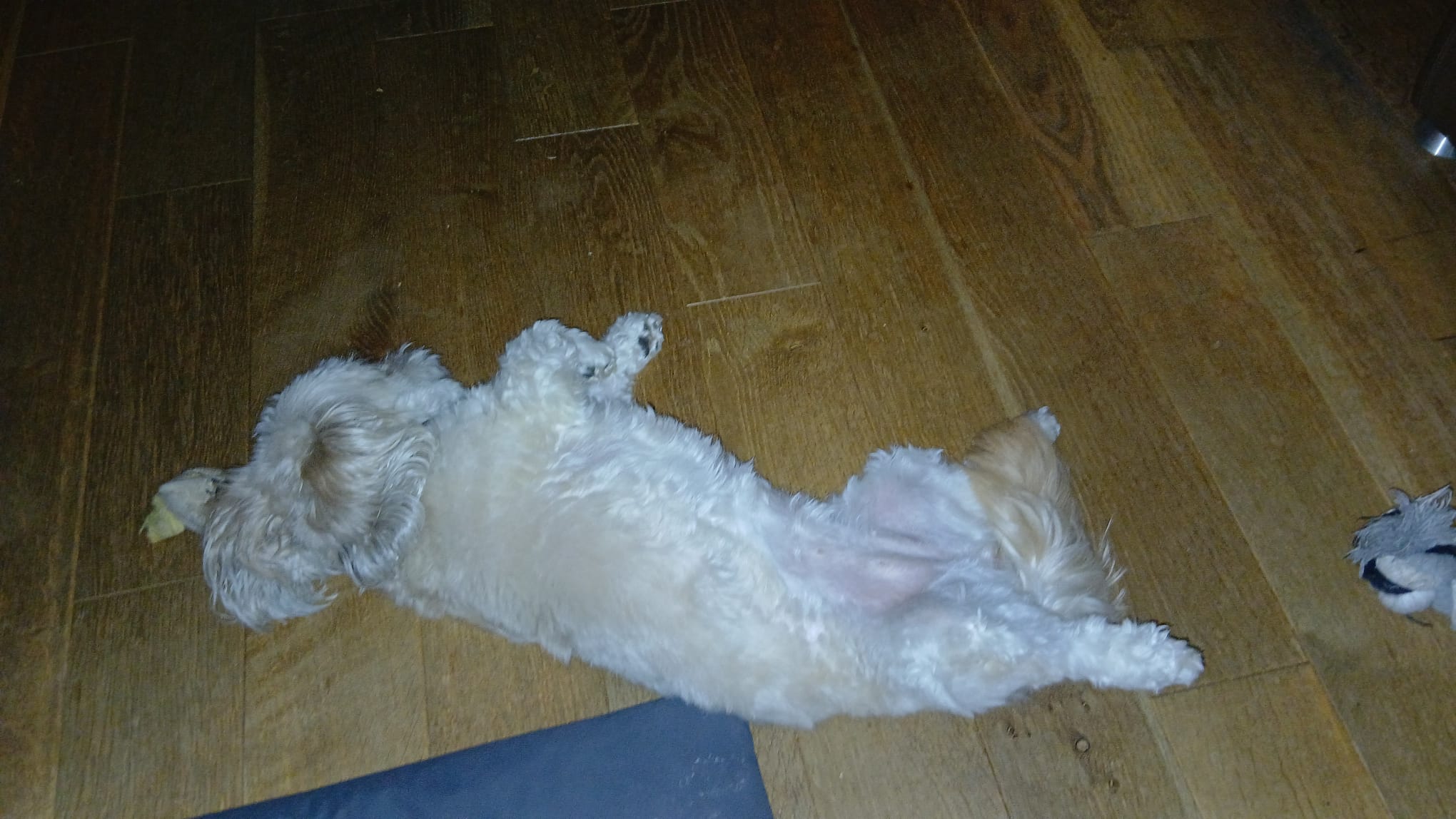 image-7