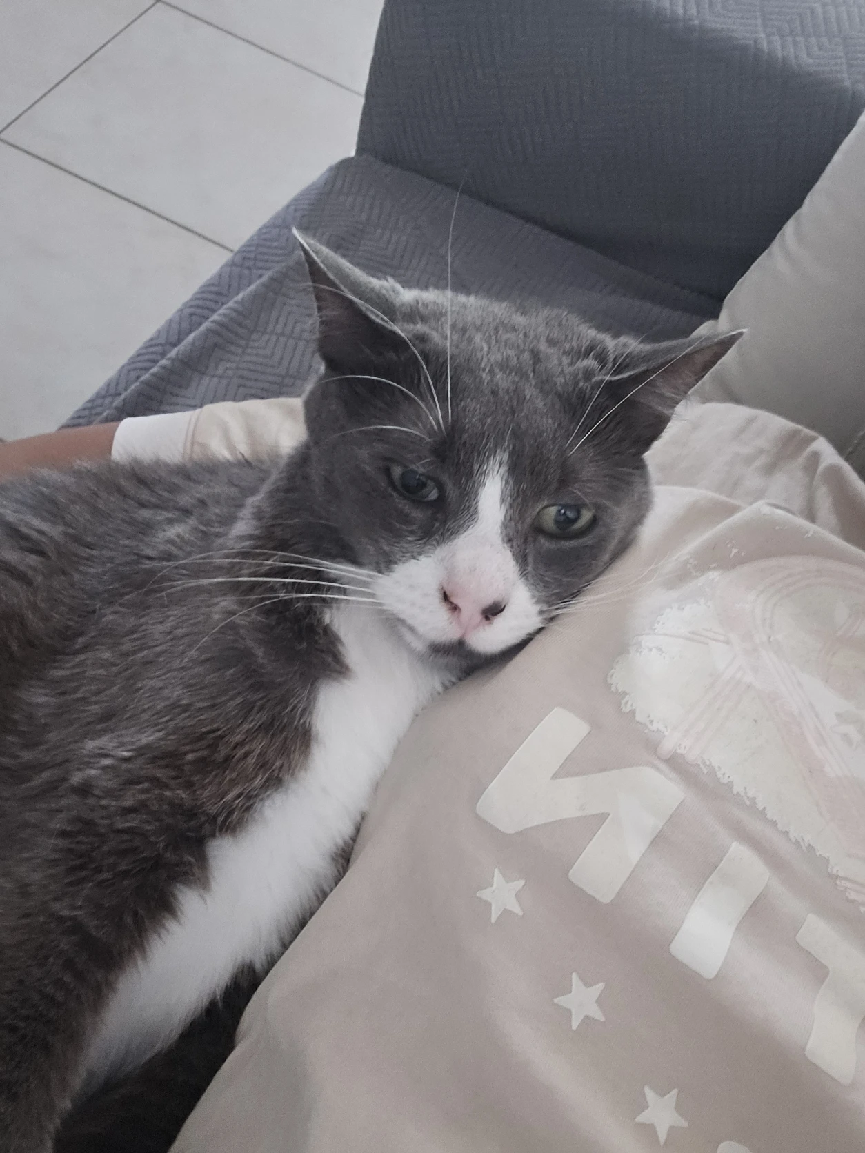 image-7