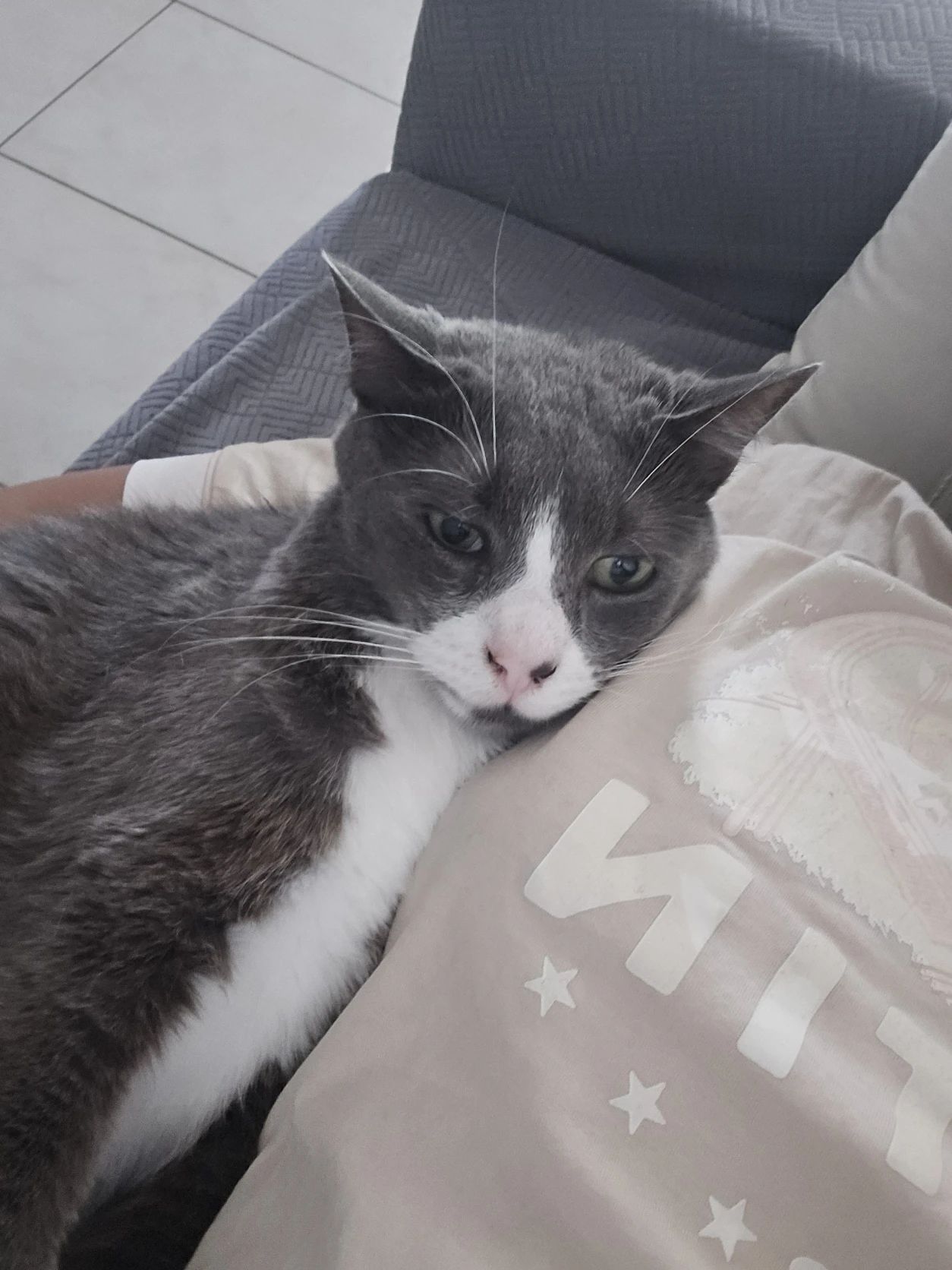 image-7