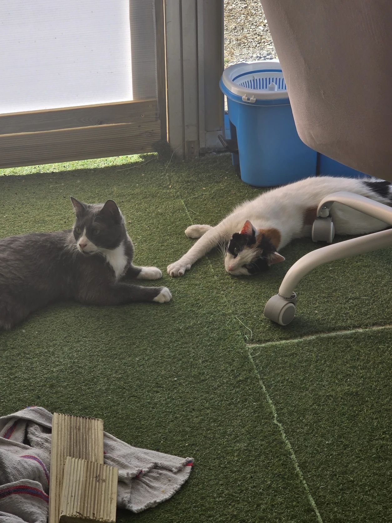 image-8