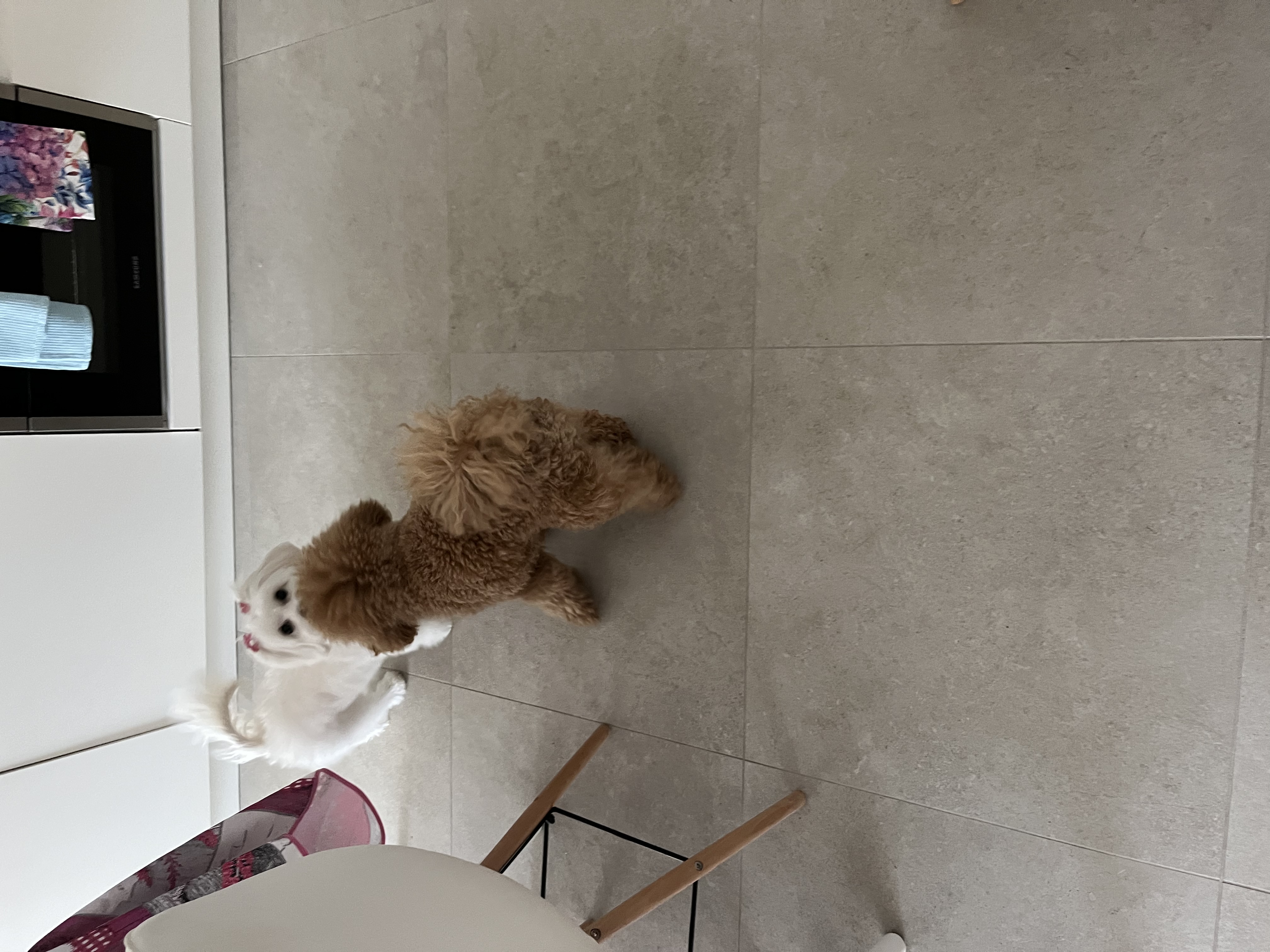 image-16