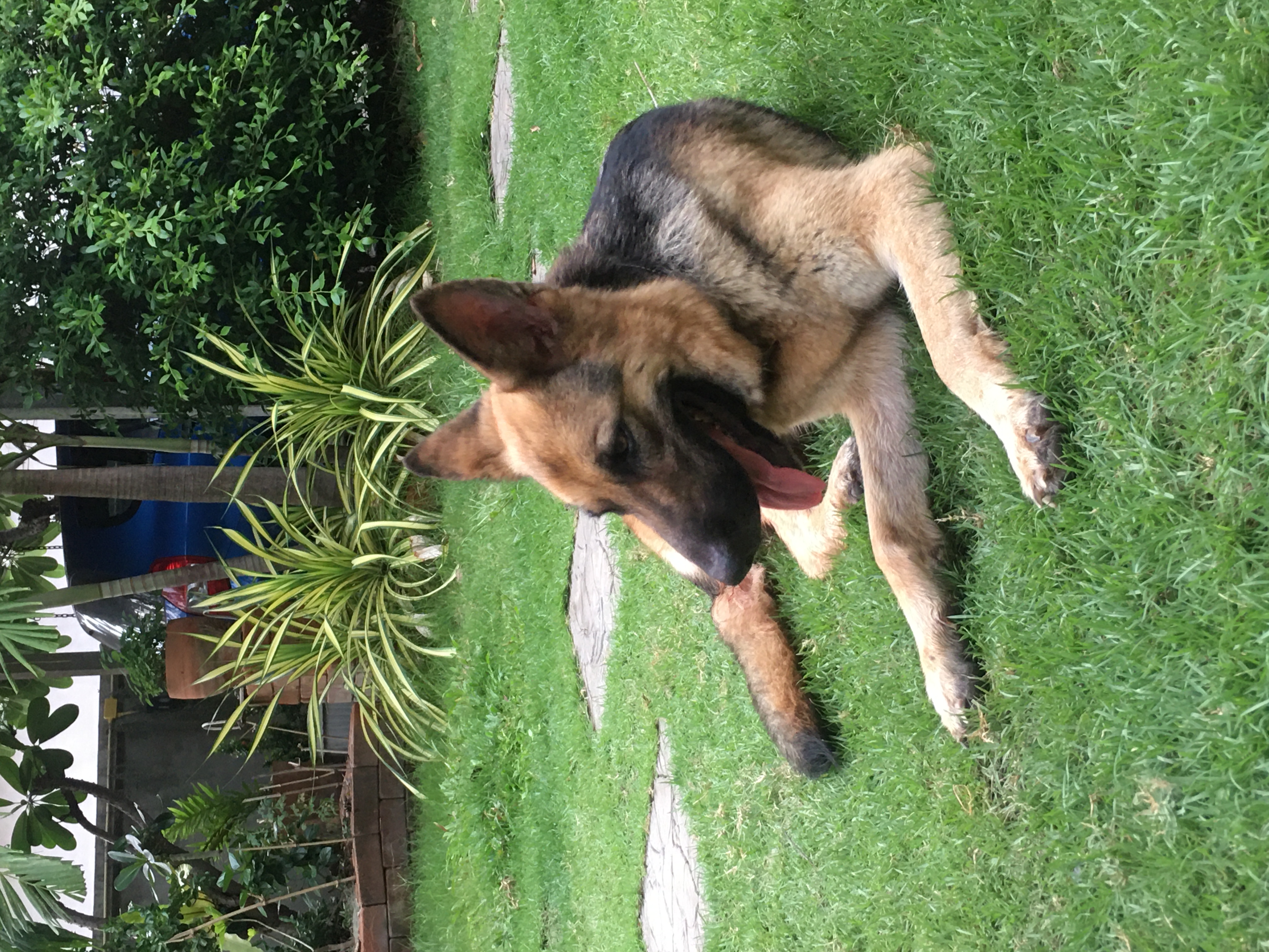 image-7
