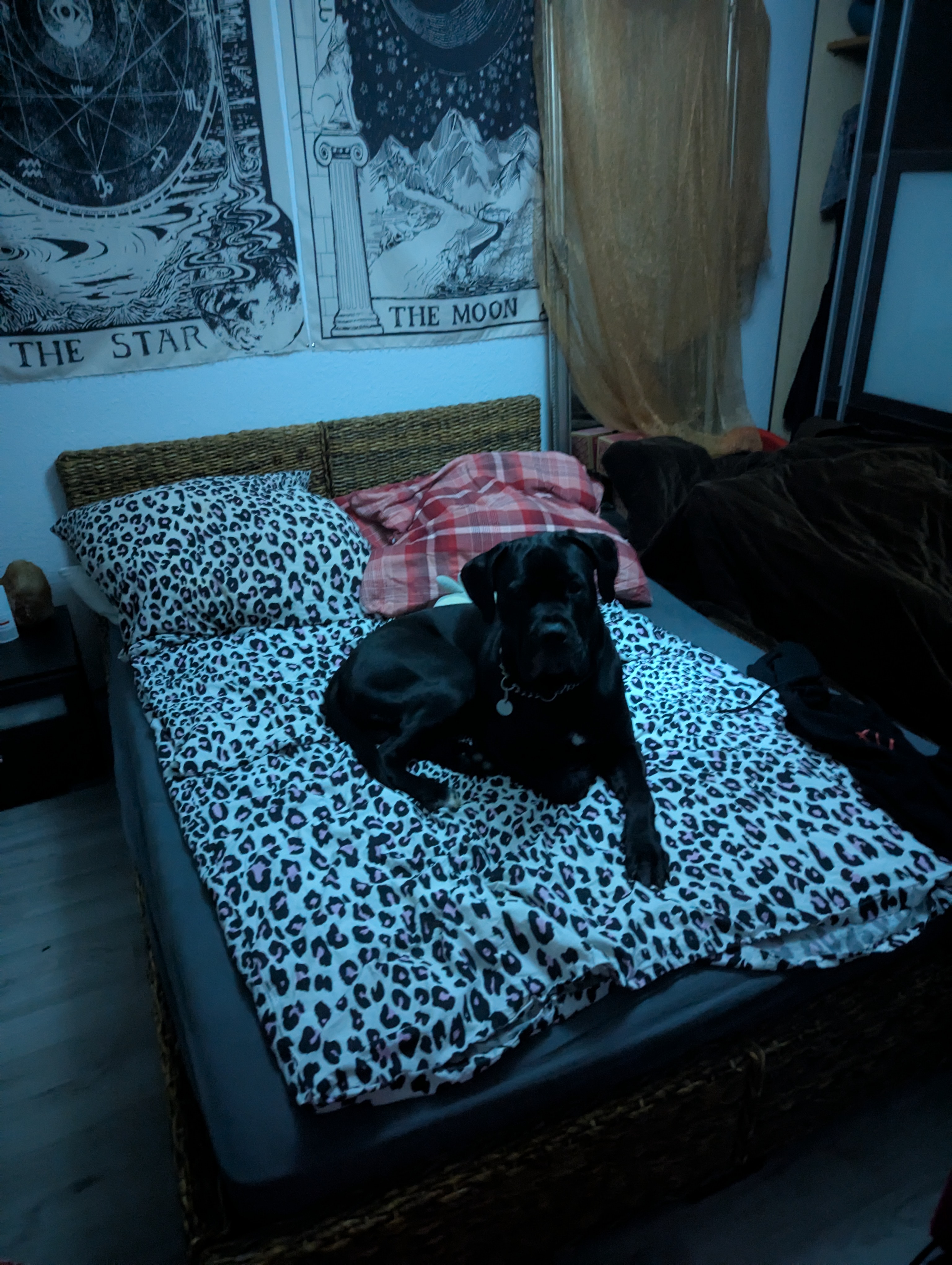 image-9
