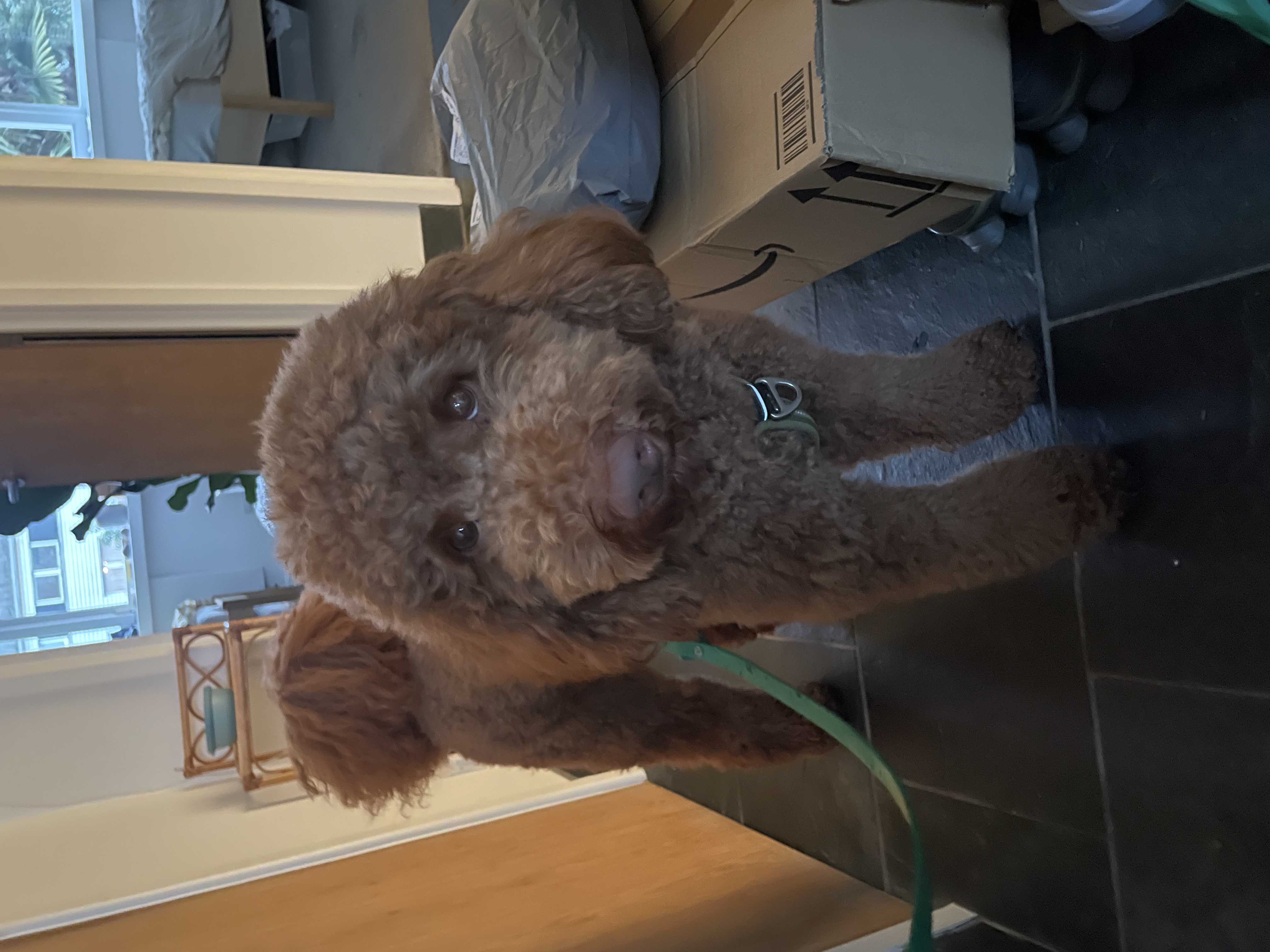 image-9