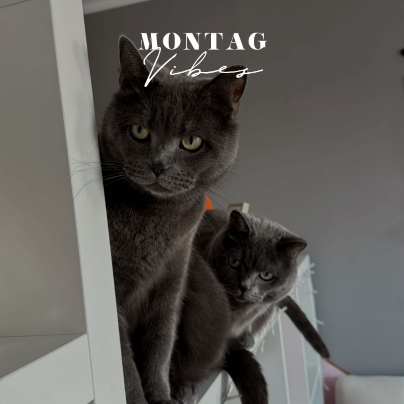 Bruno und Karl