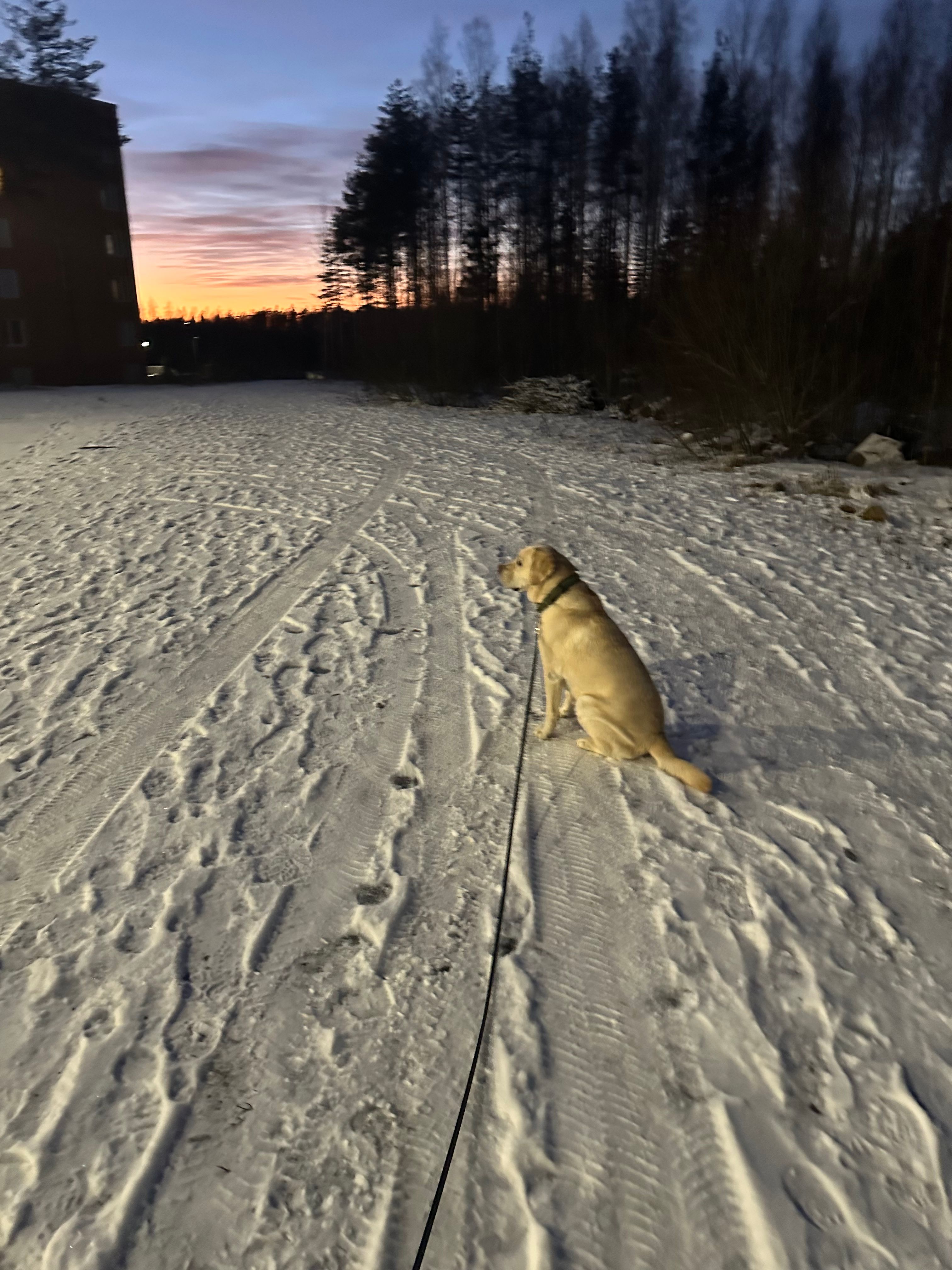 image-52