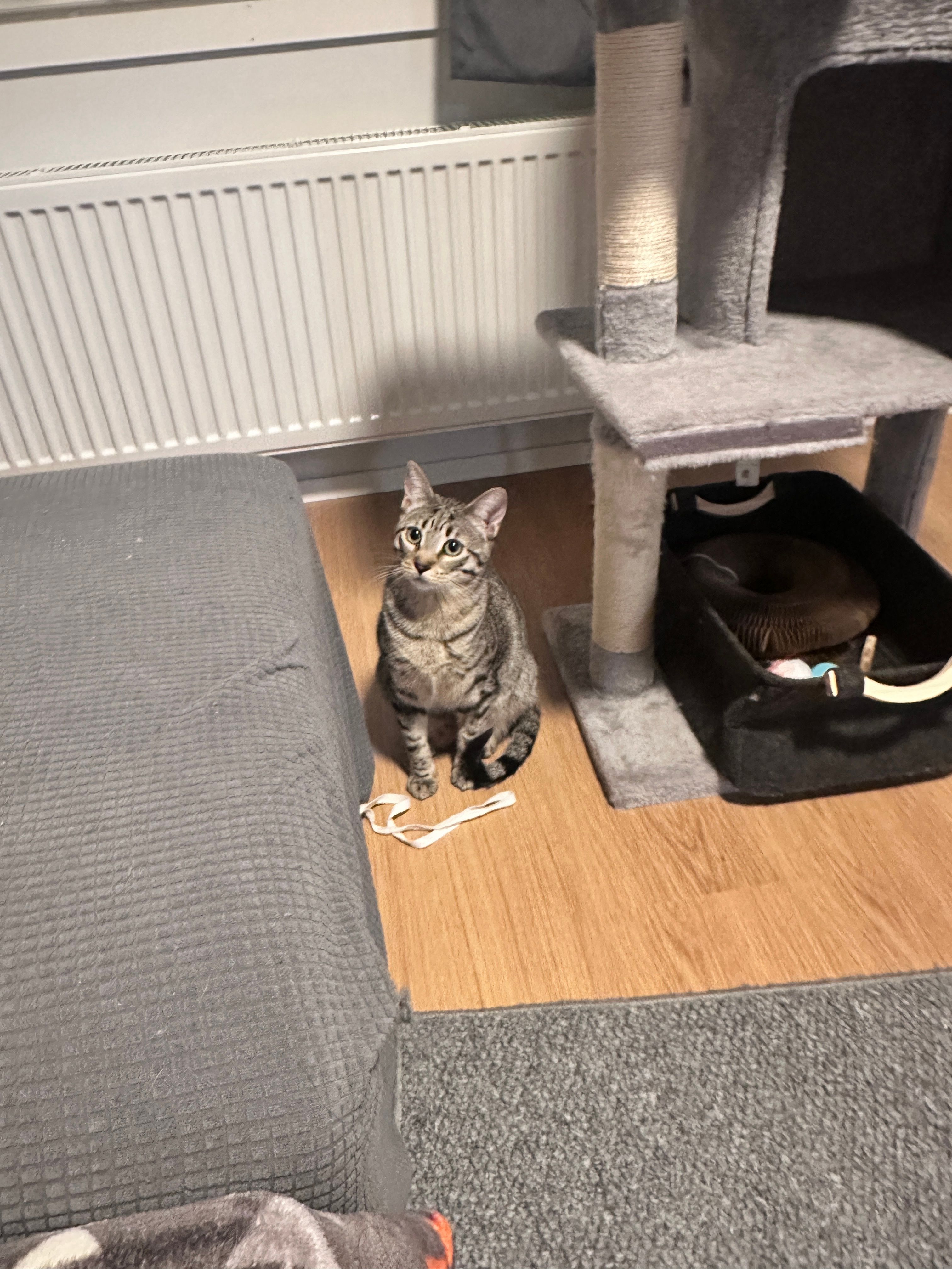 image-41