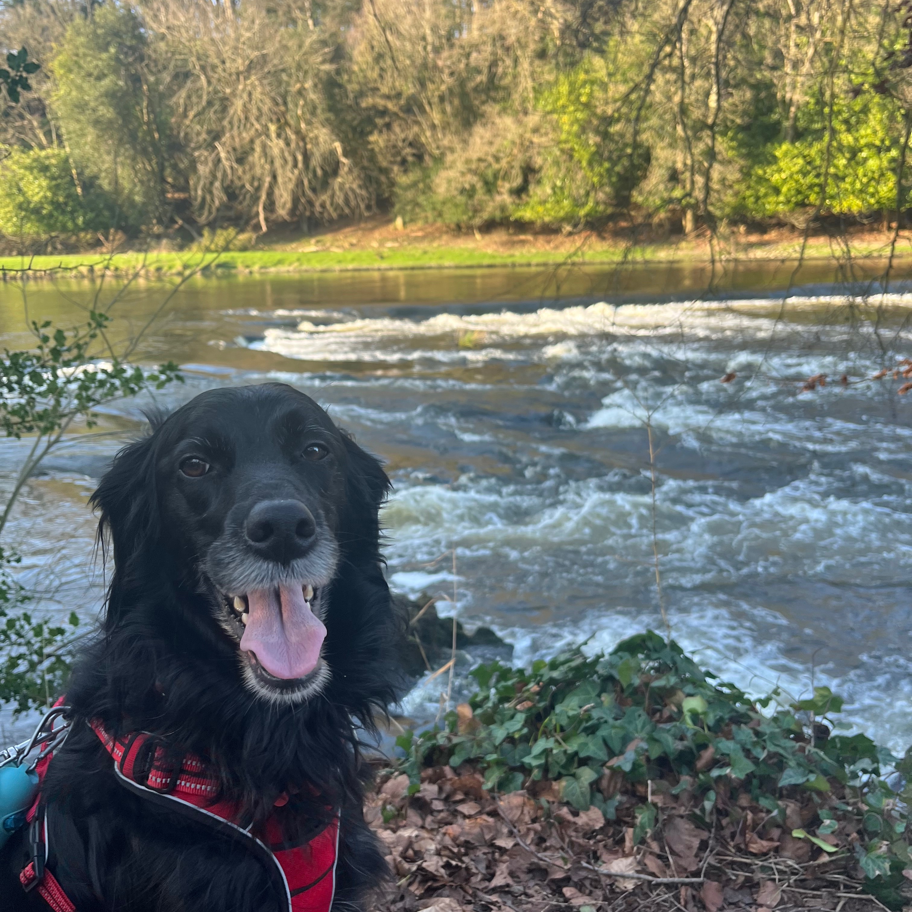 Skye 