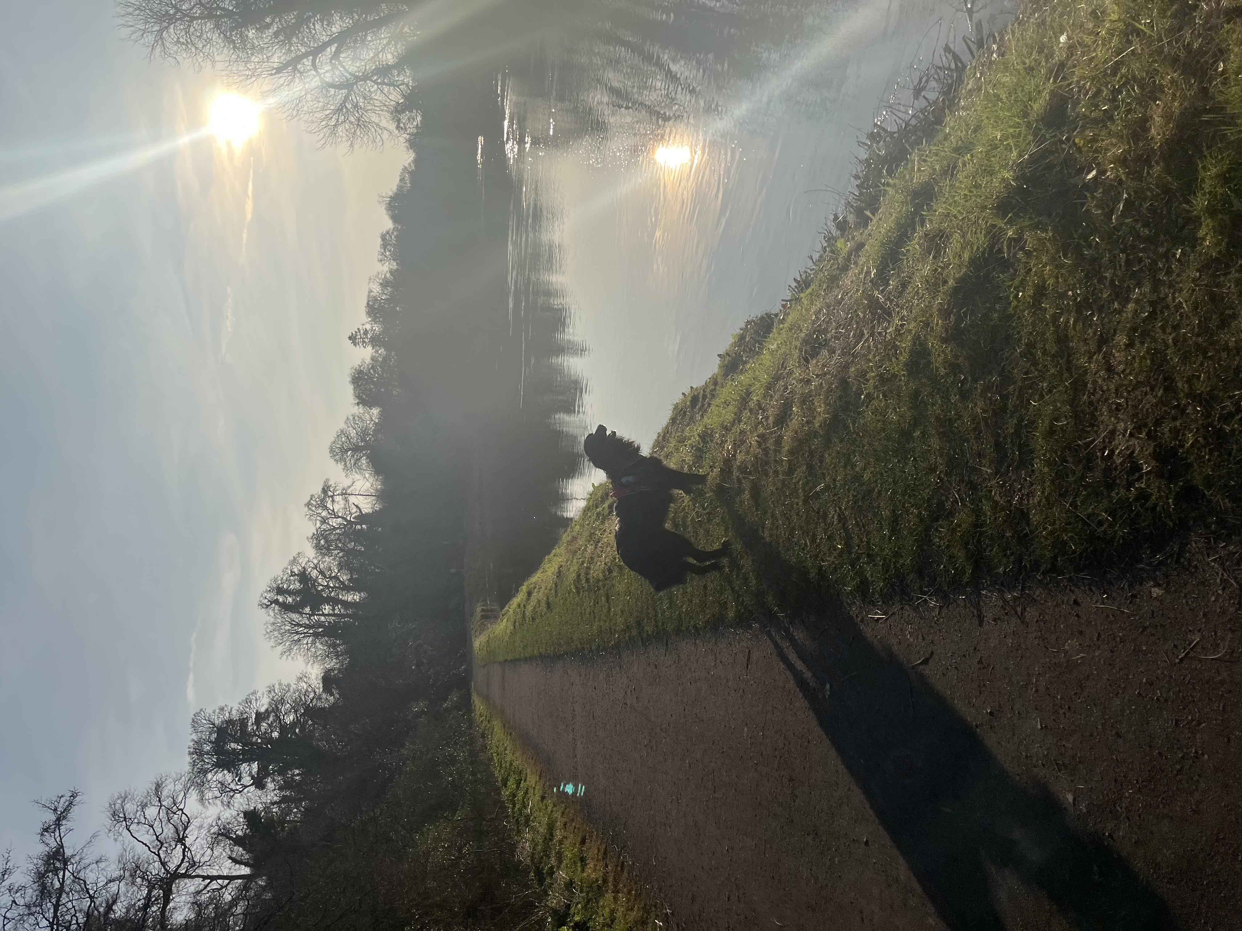 image-19